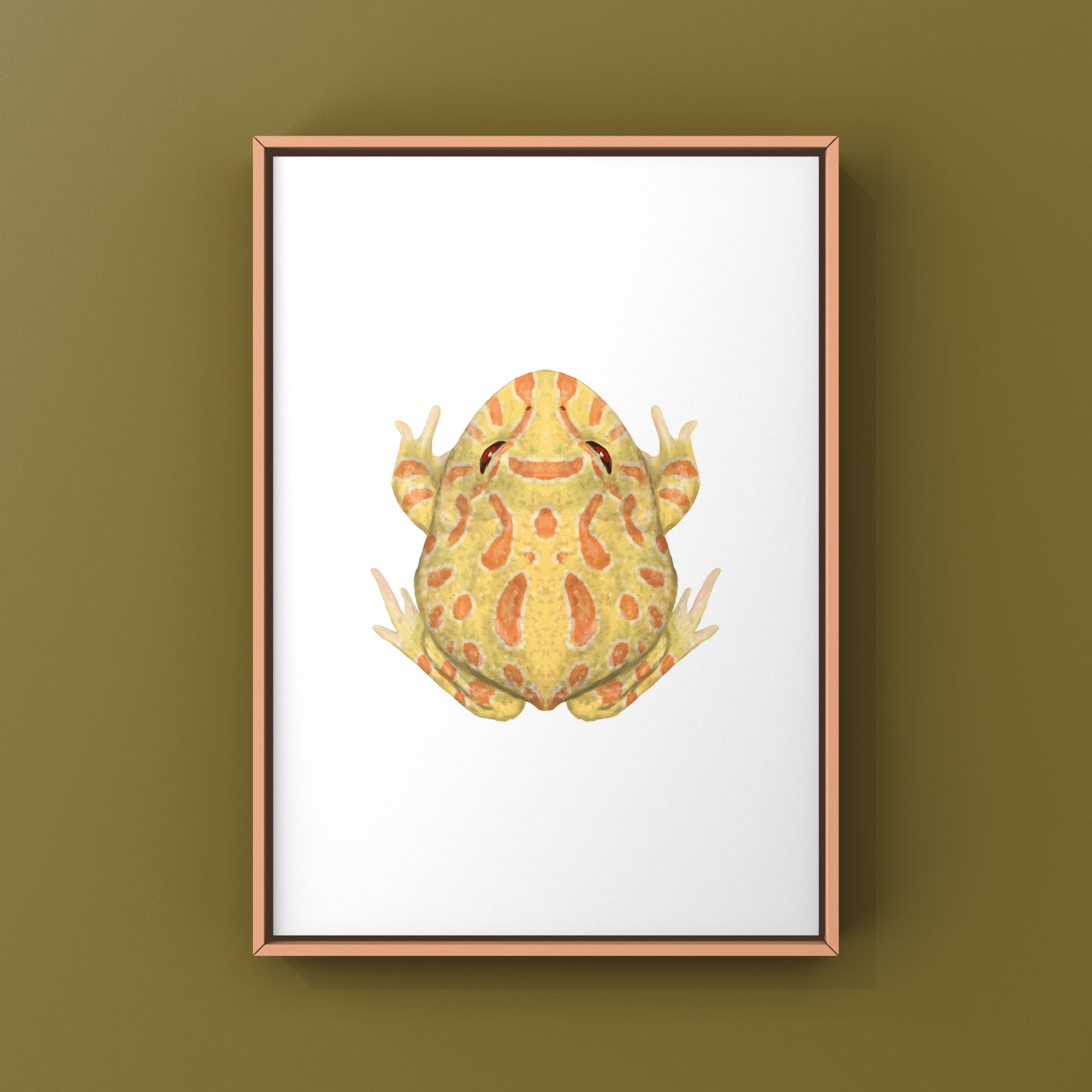 Albino Pacman Frog Art Print (Ceratophrys cranwelli) from The Silk Ranch