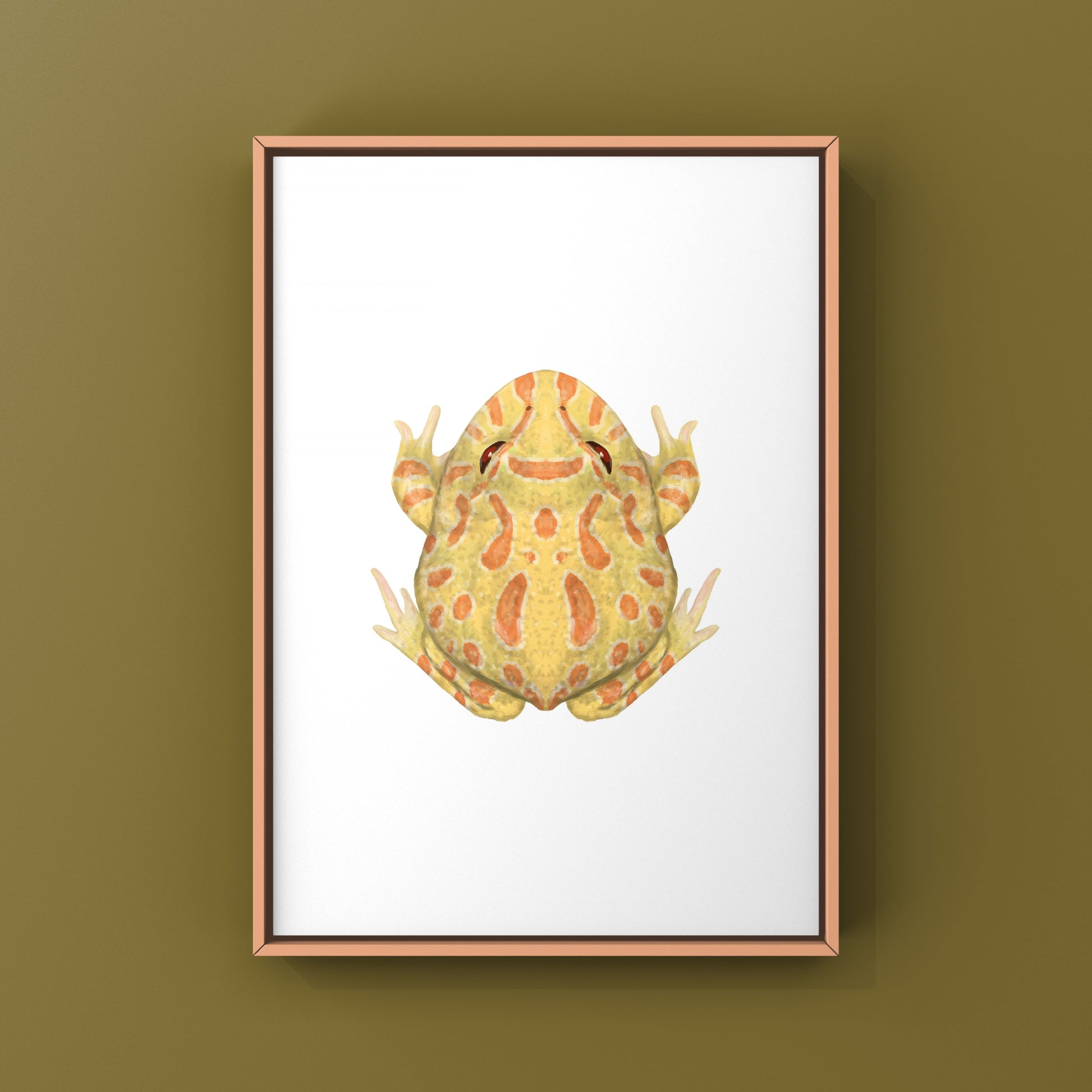 Albino Pacman Frog Art Print (Ceratophrys cranwelli) from The Silk Ranch