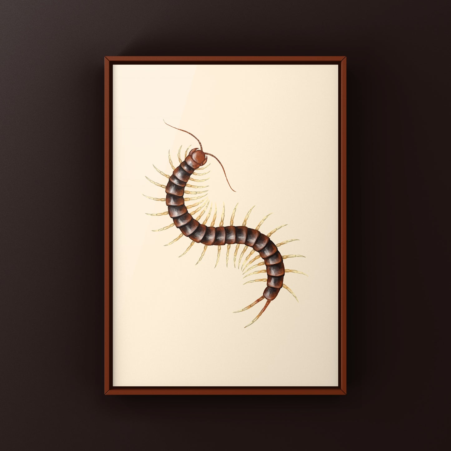 Giant white leg centipede art print by The Silk Ranch, featuring detailed illustrations of Scolopendra sp. centipedes on a neutral background.