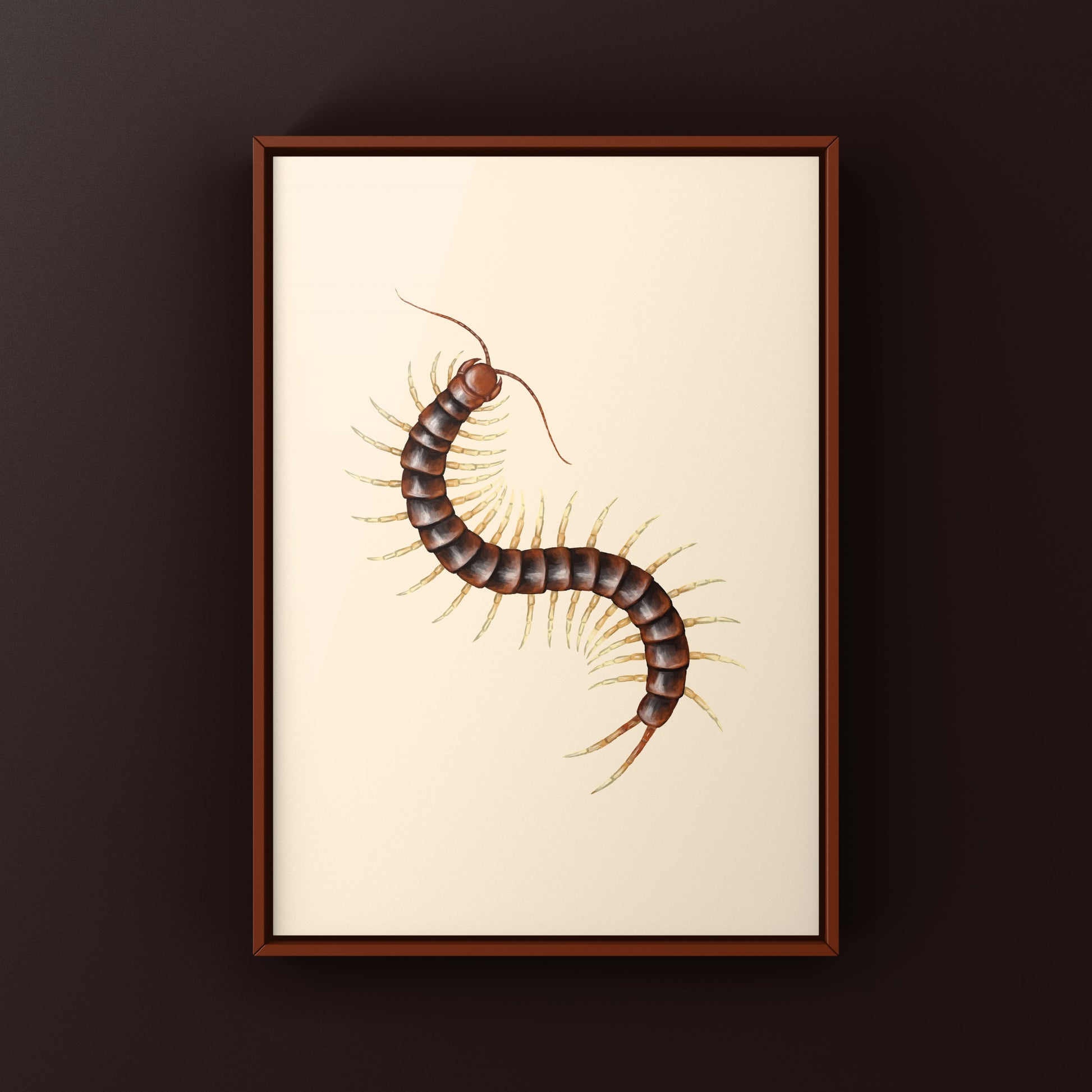 Giant white leg centipede art print by The Silk Ranch, featuring detailed illustrations of Scolopendra sp. centipedes on a neutral background.