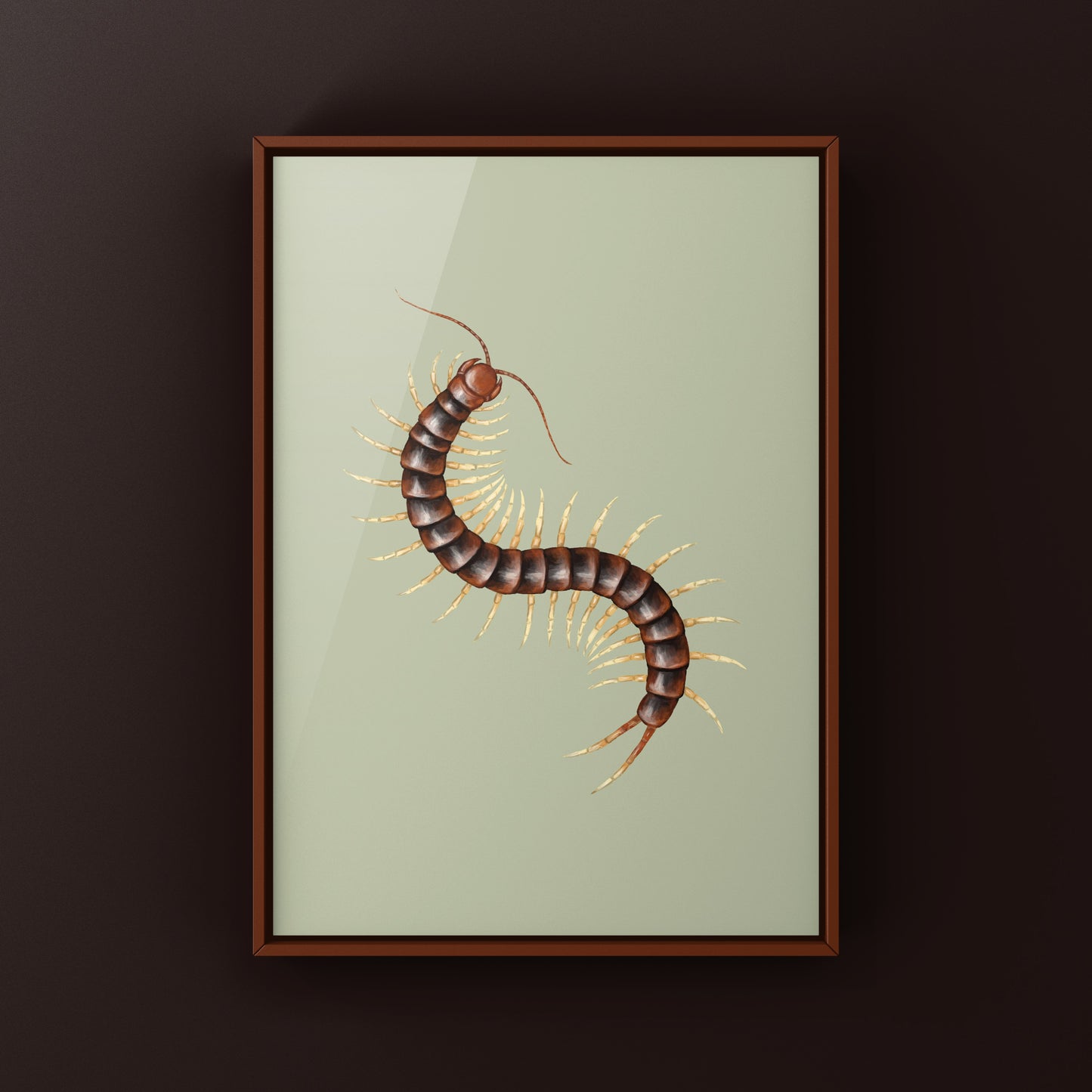 Giant white leg centipede art print by The Silk Ranch showing detailed illustration of Scolopendra sp. white legs on white background.