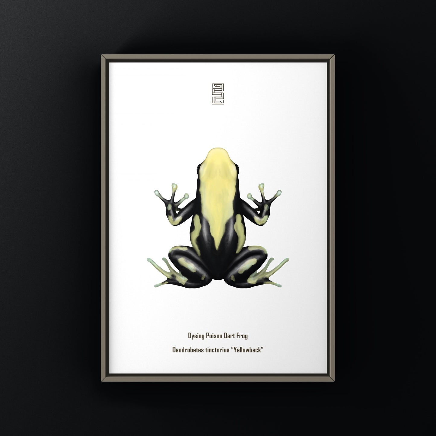 Yellowback Dyeing Poison Dart Frog Art Print (Dendrobates tinctorius) from The Silk Ranch