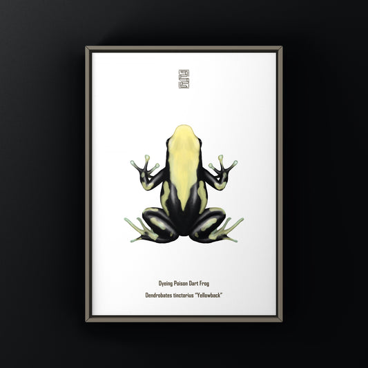 Yellowback Dyeing Poison Dart Frog Art Print (Dendrobates tinctorius) from The Silk Ranch