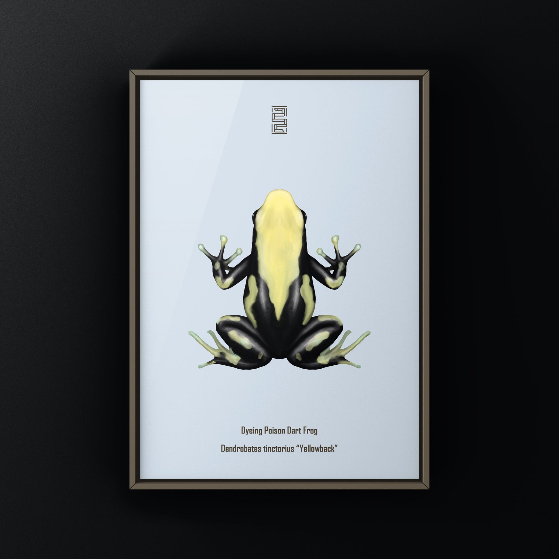 Yellowback Dyeing Poison Dart Frog Art Print (Dendrobates tinctorius) from The Silk Ranch