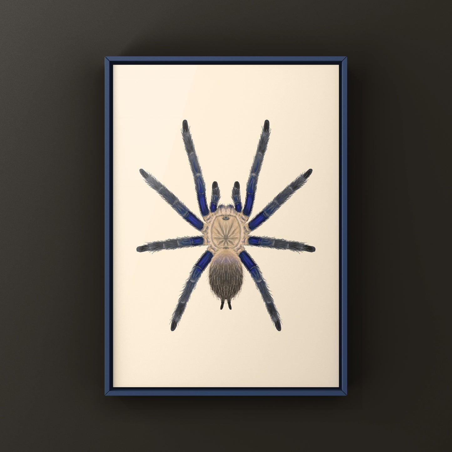 Blue Dream Tarantula Art Print (Chilobrachys sp. South Thailand Blue) from The Silk Ranch
