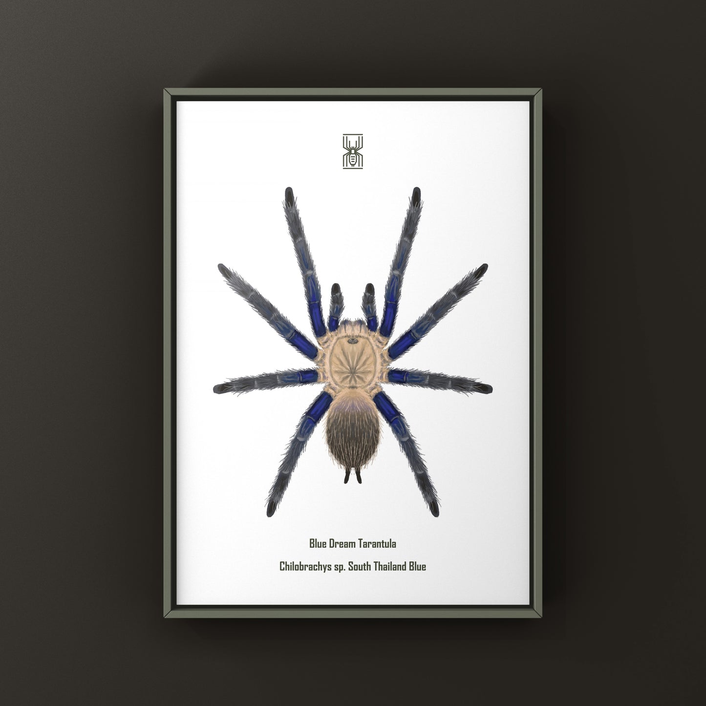Blue Dream Tarantula Art Print (Chilobrachys sp. South Thailand Blue) from The Silk Ranch
