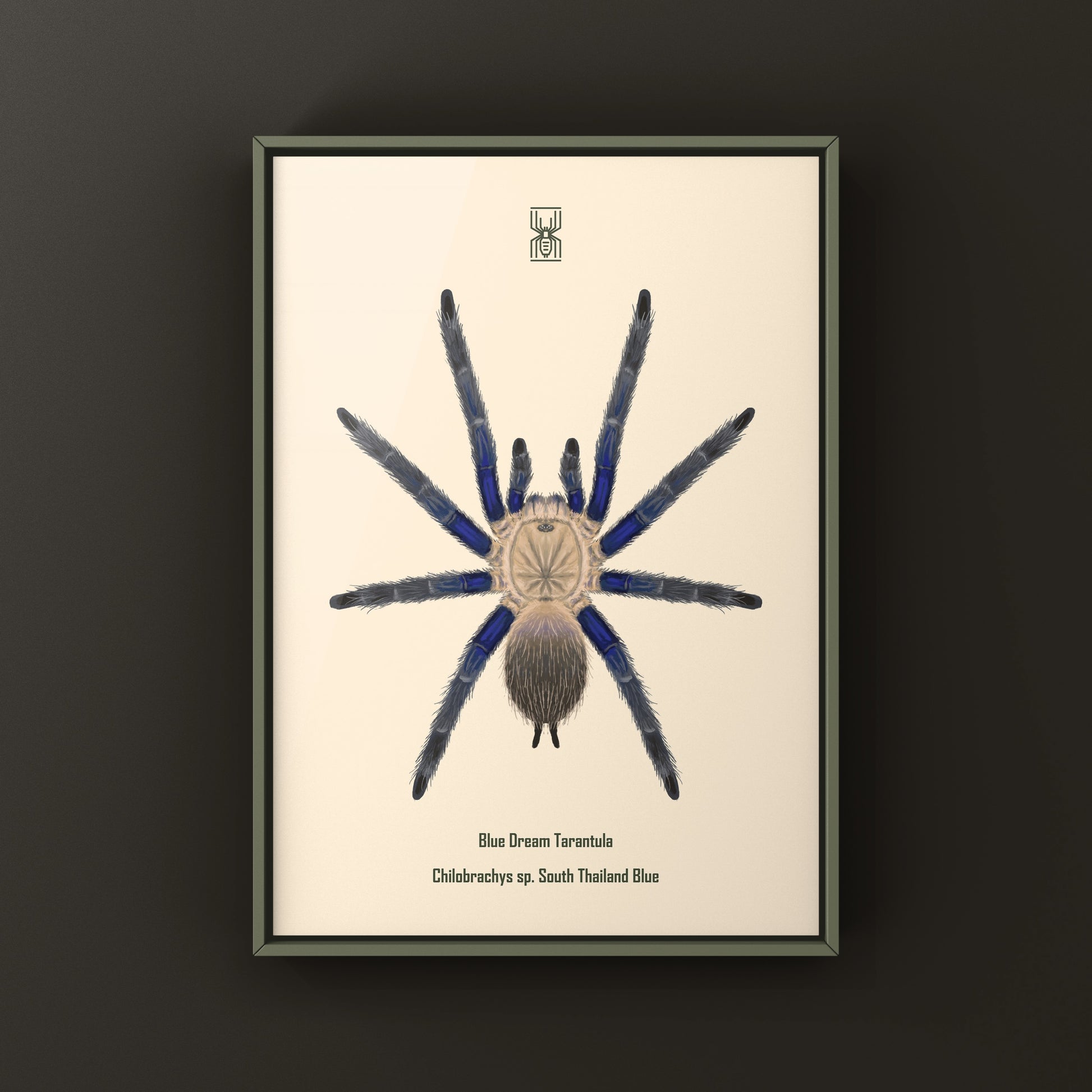Blue Dream Tarantula Art Print (Chilobrachys sp. South Thailand Blue) from The Silk Ranch