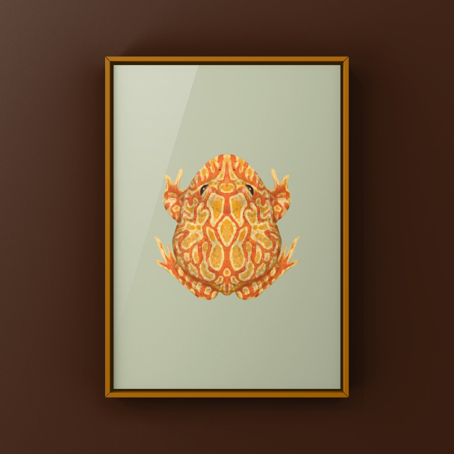 Sunburst Pacman Frog Art Print (Ceratophrys cranwelli) from The Silk Ranch