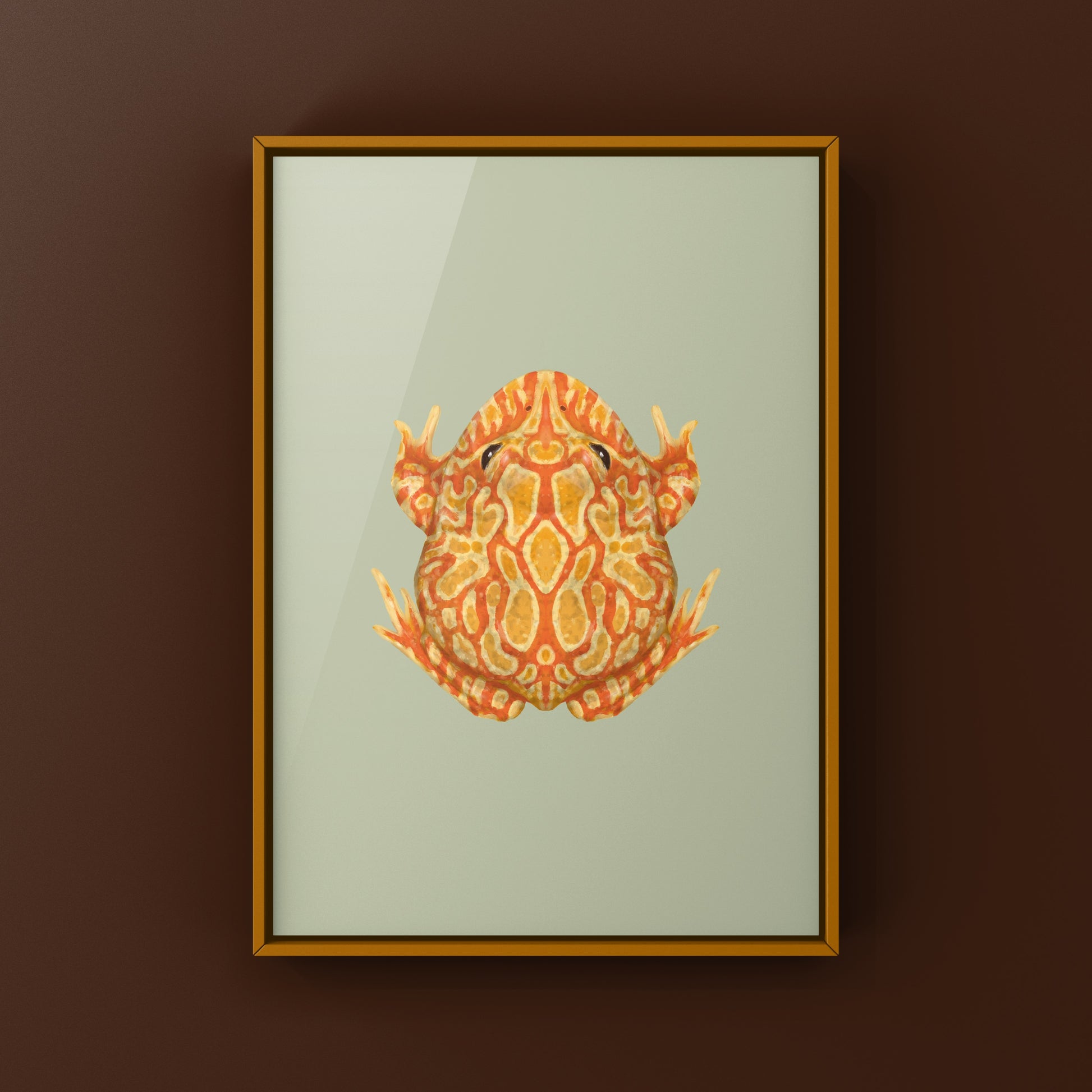 Sunburst Pacman Frog Art Print (Ceratophrys cranwelli) from The Silk Ranch