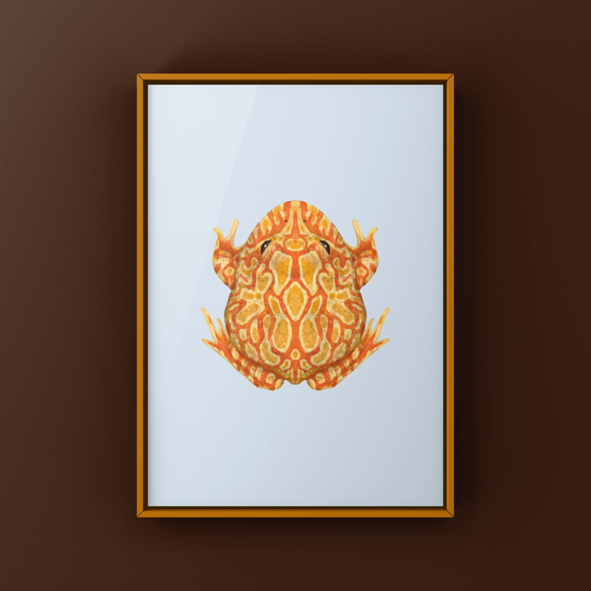 Sunburst Pacman Frog Art Print (Ceratophrys cranwelli) from The Silk Ranch