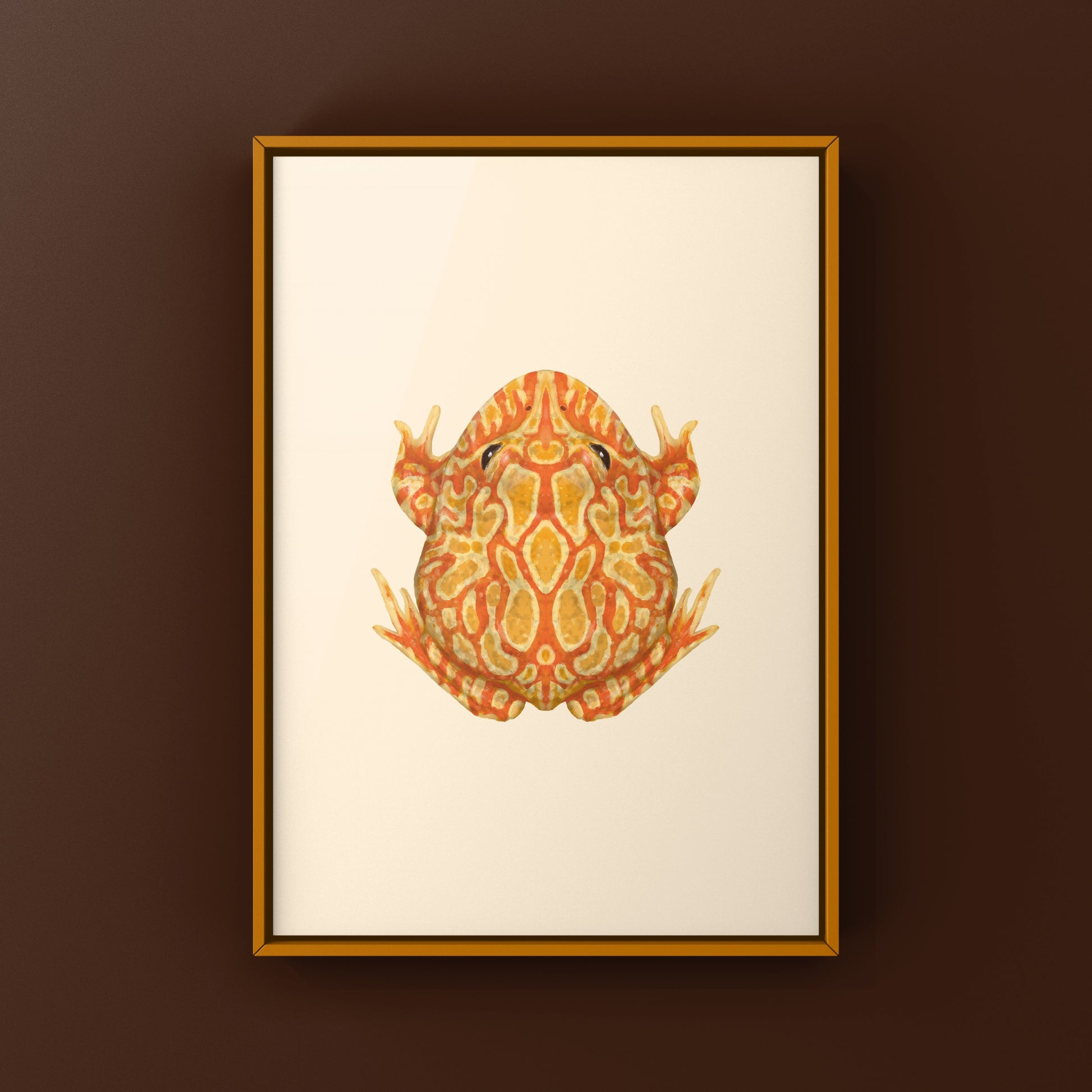 Sunburst Pacman Frog Art Print (Ceratophrys cranwelli) from The Silk Ranch
