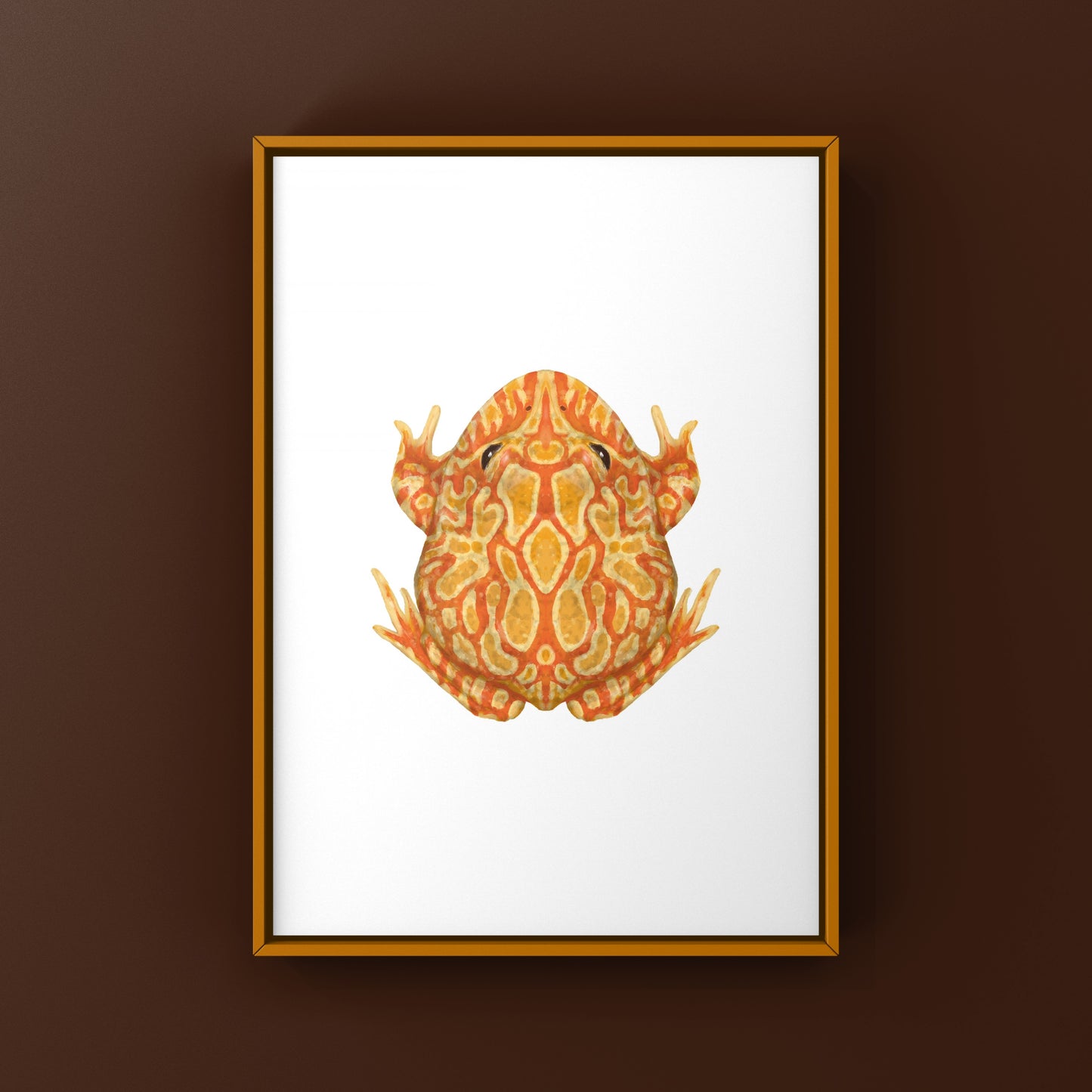 Sunburst Pacman Frog Art Print (Ceratophrys cranwelli) from The Silk Ranch
