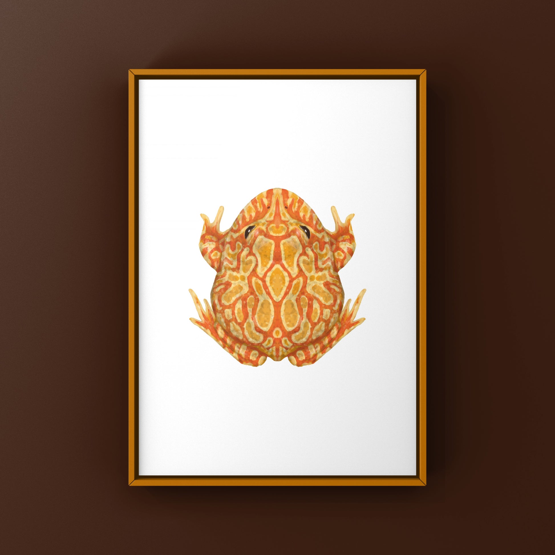 Sunburst Pacman Frog Art Print (Ceratophrys cranwelli) from The Silk Ranch