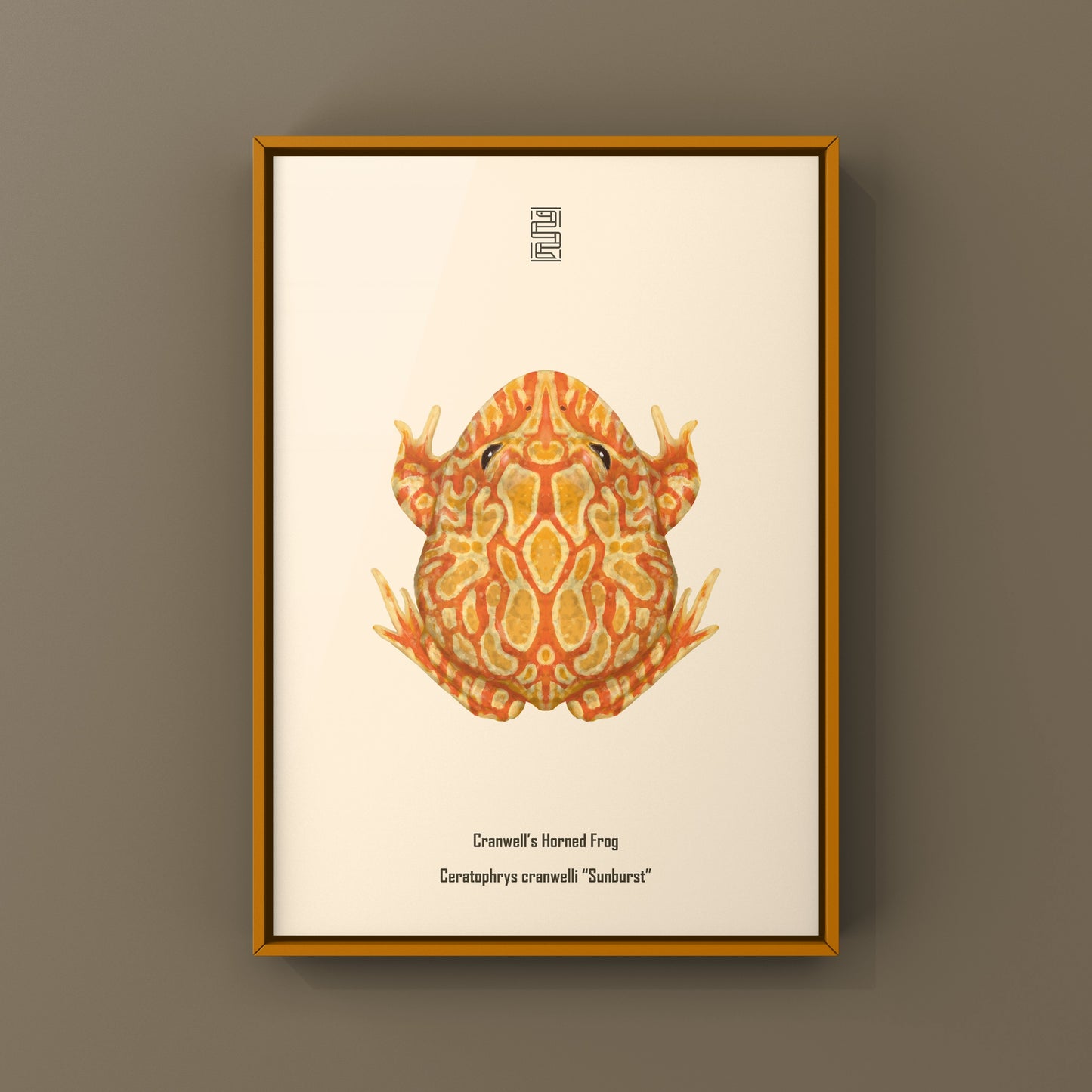 Sunburst Pacman Frog Art Print (Ceratophrys cranwelli) from The Silk Ranch