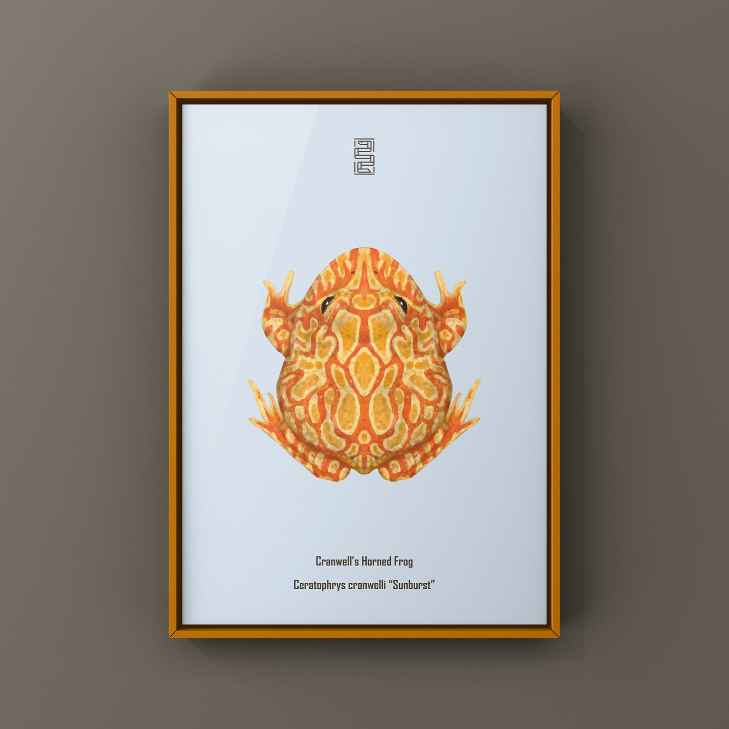Sunburst Pacman Frog Art Print (Ceratophrys cranwelli) from The Silk Ranch