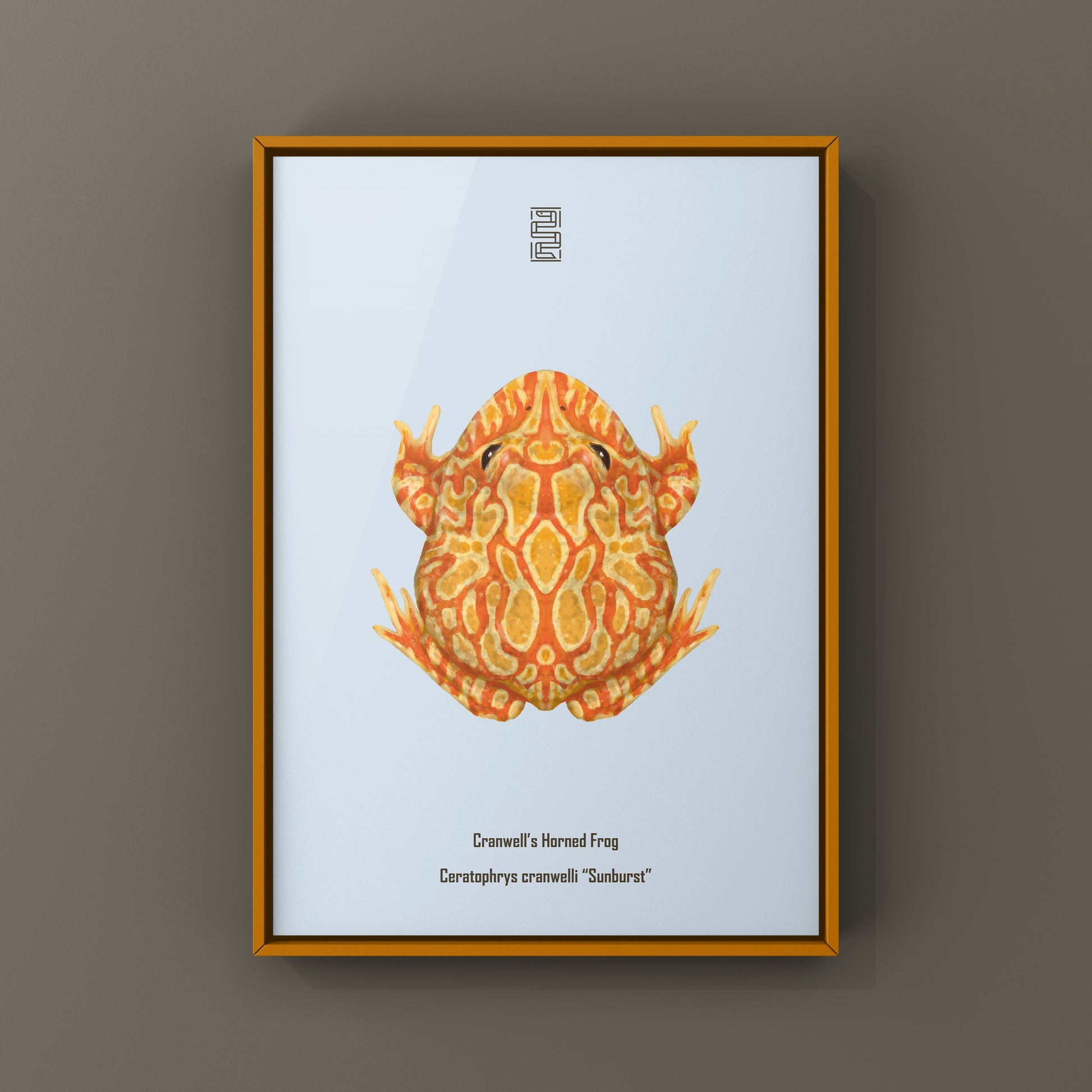 Sunburst Pacman Frog Art Print (Ceratophrys cranwelli) from The Silk Ranch