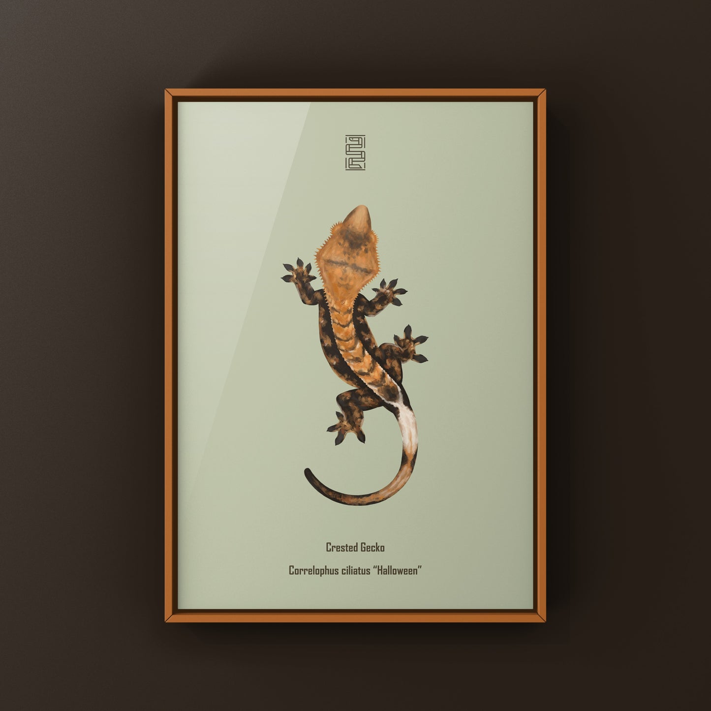 Halloween Crested Gecko Art Print (Correlophus ciliatus) from The Silk Ranch
