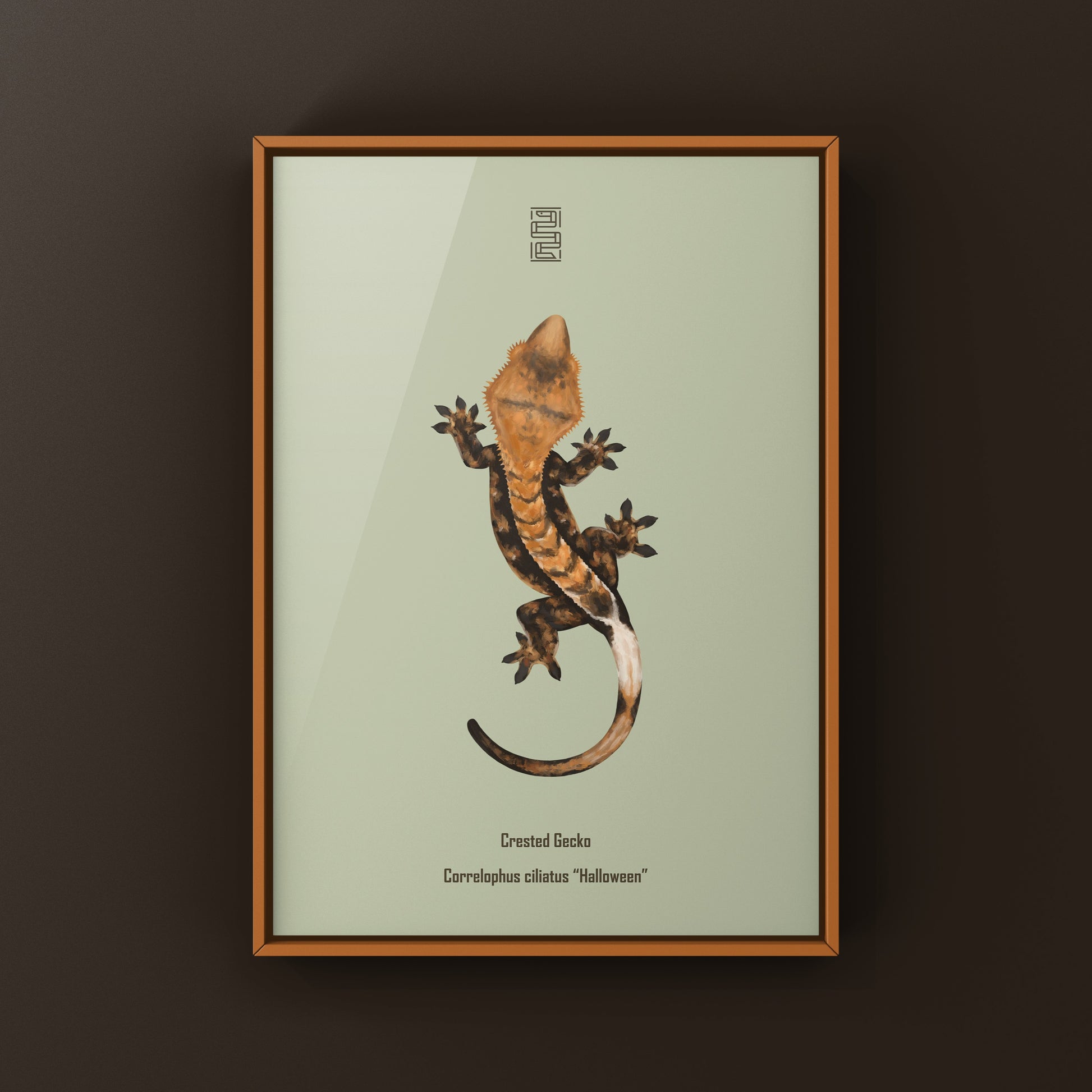 Halloween Crested Gecko Art Print (Correlophus ciliatus) from The Silk Ranch