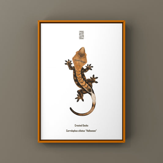 Halloween Crested Gecko Art Print (Correlophus ciliatus) from The Silk Ranch