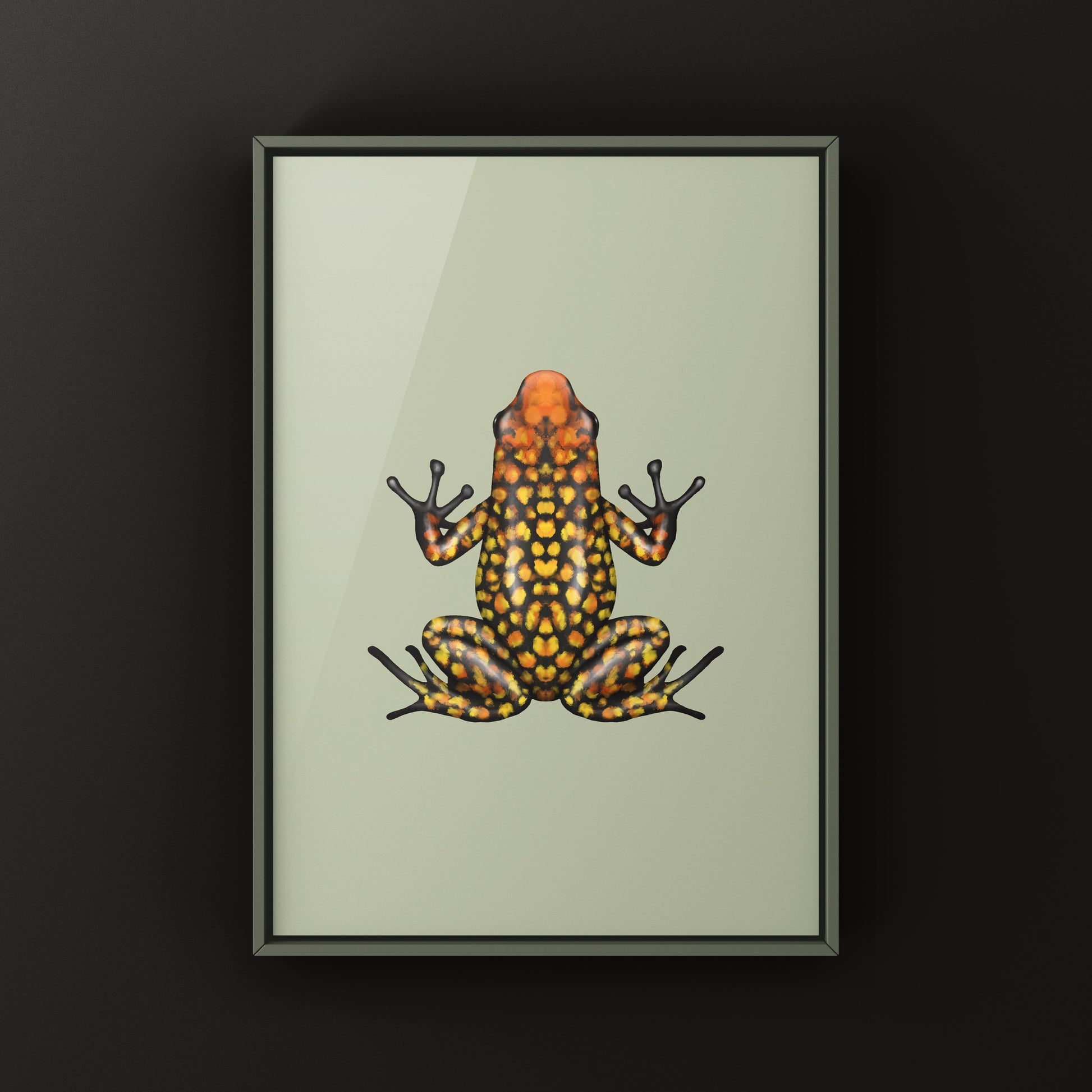 Colorful Fuego Harlequin Poison Frog art print by The Silk Ranch, showcasing vibrant amphibian details on high-quality paper.