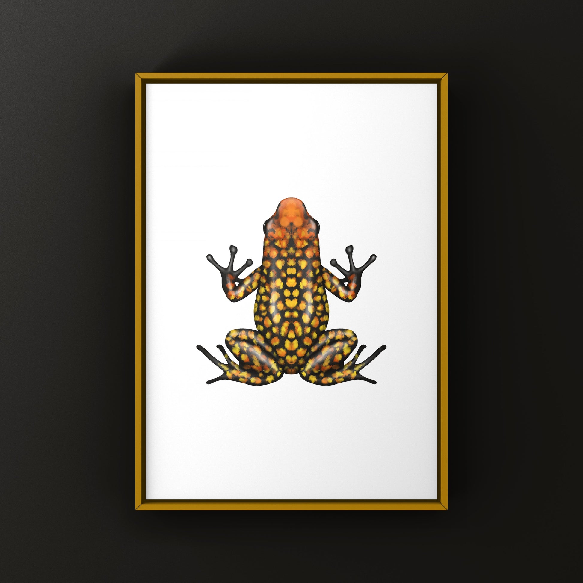 Colorful Fuego Harlequin Poison Frog art print by The Silk Ranch, showcasing vibrant amphibian details on high-quality paper.