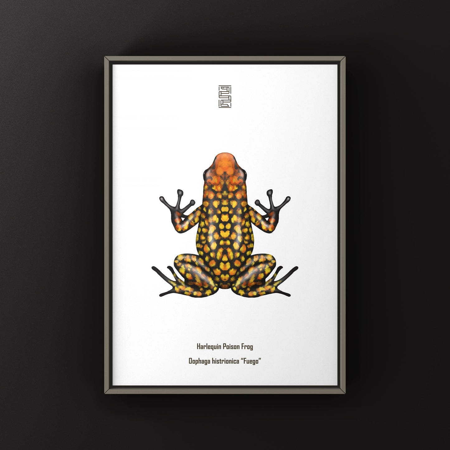 Colorful Fuego Harlequin Poison Frog art print by The Silk Ranch, showcasing vibrant amphibian illustrations on high-quality paper.