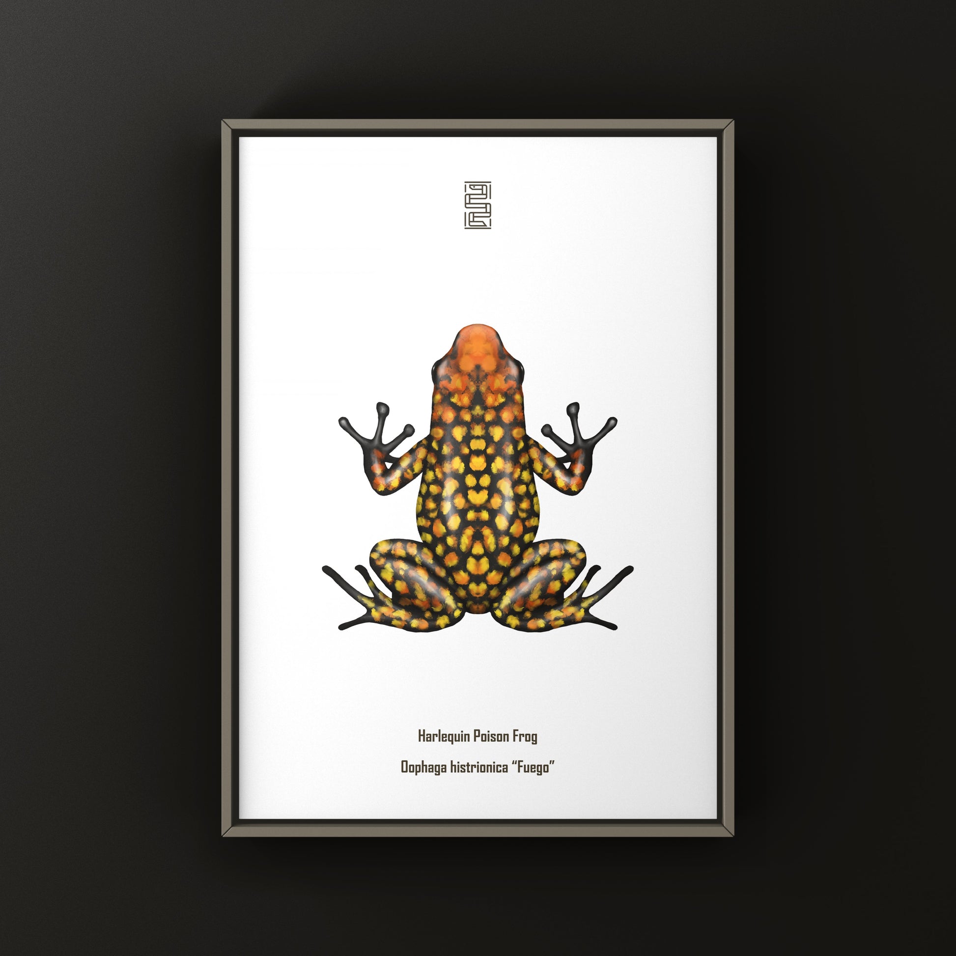 Colorful Fuego Harlequin Poison Frog art print by The Silk Ranch, showcasing vibrant amphibian illustrations on high-quality paper.