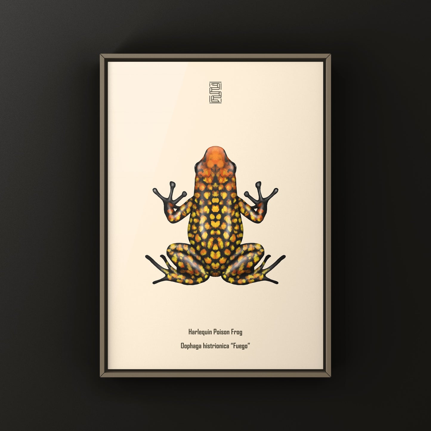 Colorful Fuego Harlequin Poison Frog art print by The Silk Ranch showcasing vibrant amphibian details on high-quality paper.
