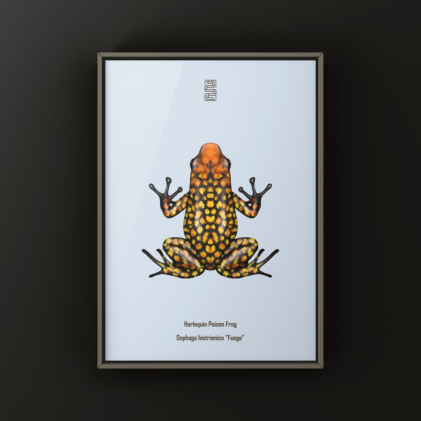 Colorful Fuego Harlequin Poison Frog art print by The Silk Ranch showcasing vibrant amphibian details on high-quality paper.