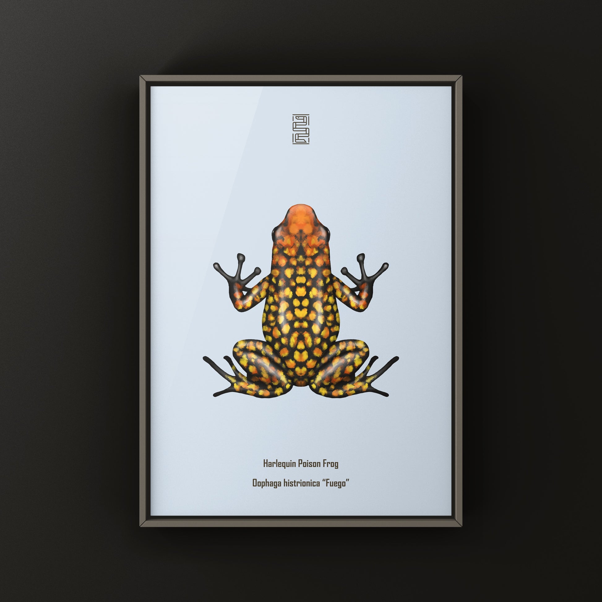 Colorful Fuego Harlequin Poison Frog art print by The Silk Ranch showcasing vibrant amphibian details on high-quality paper.
