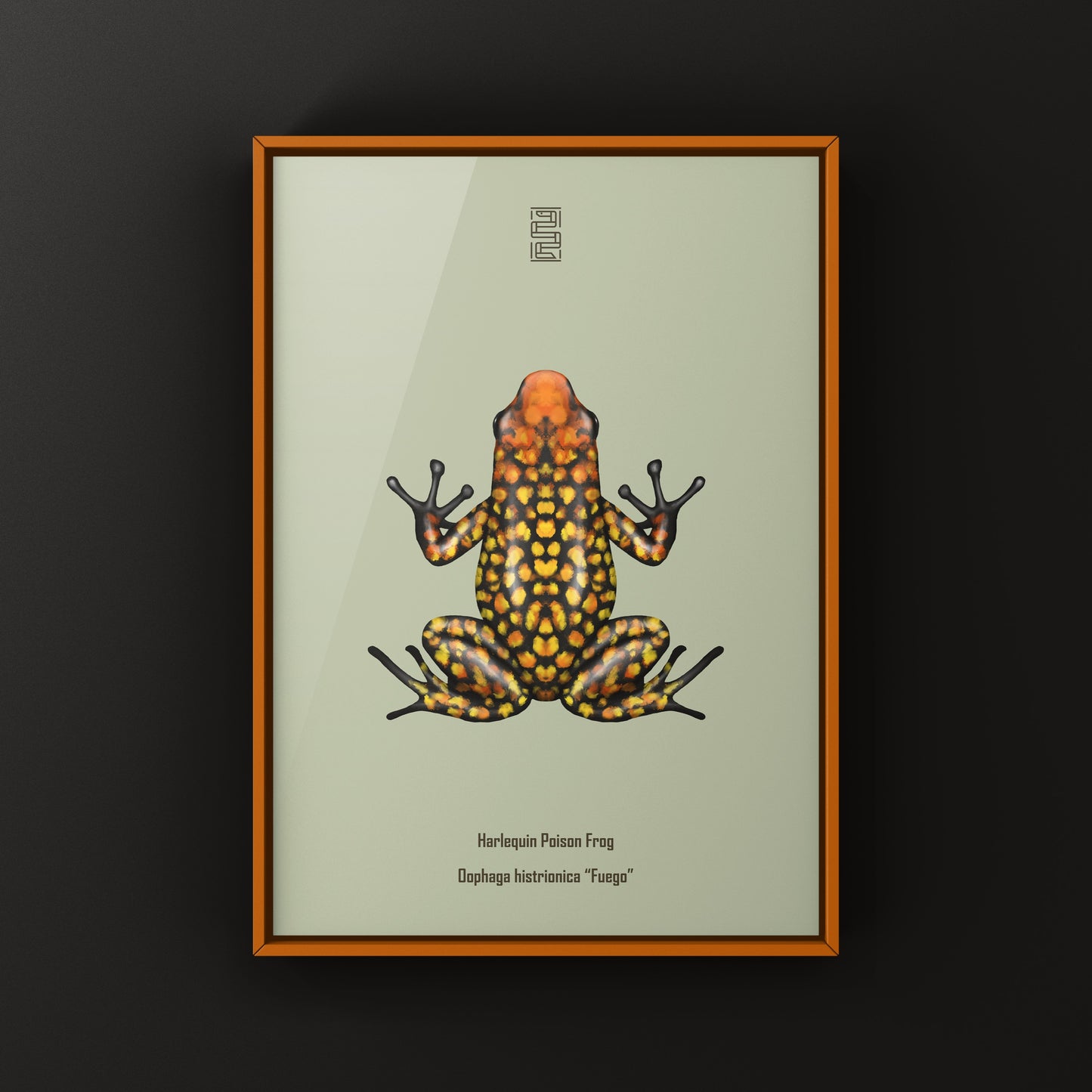 Colorful Fuego Harlequin Poison Frog art print by The Silk Ranch showcasing vibrant amphibian details and tropical background.