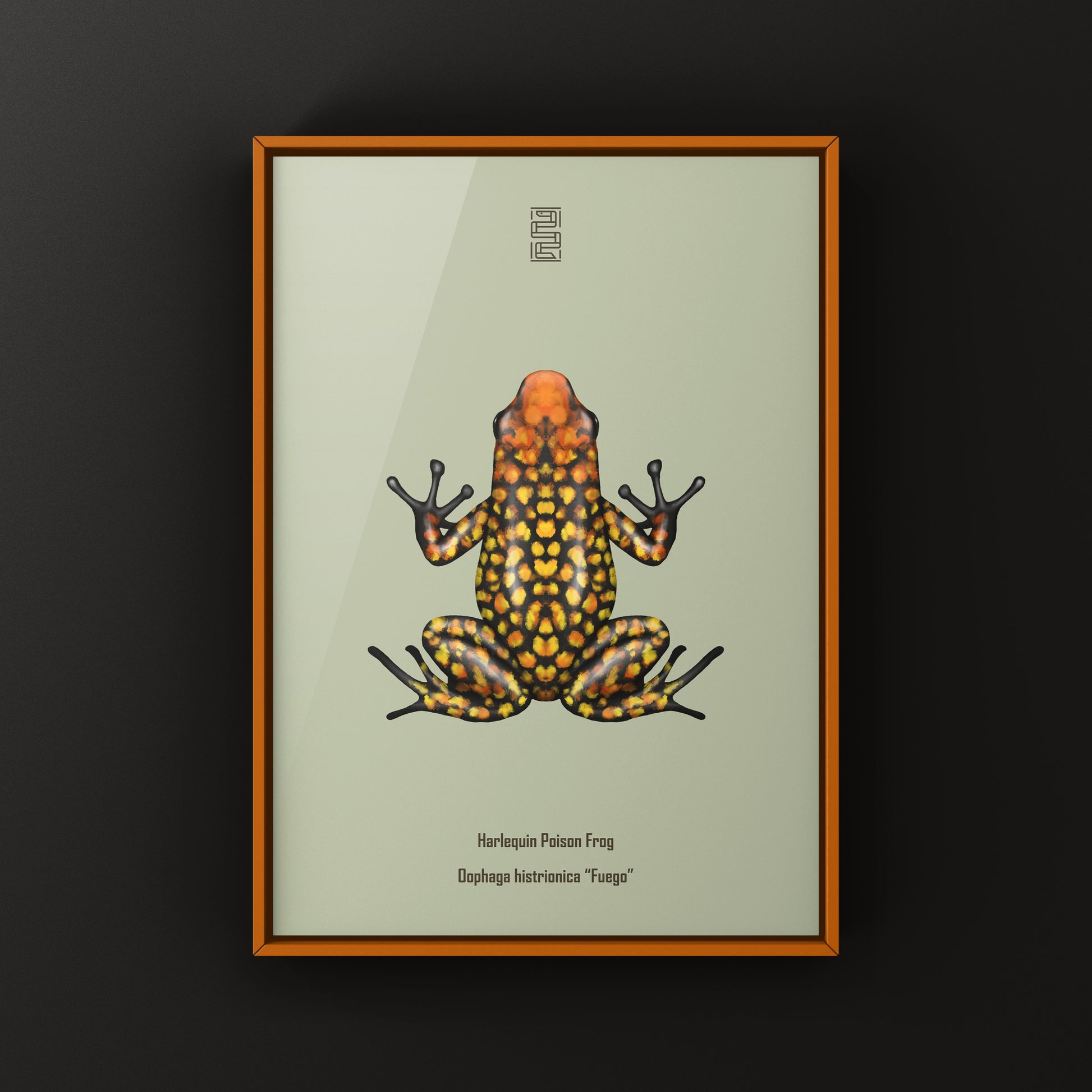 Colorful Fuego Harlequin Poison Frog art print by The Silk Ranch showcasing vibrant amphibian details and tropical background.
