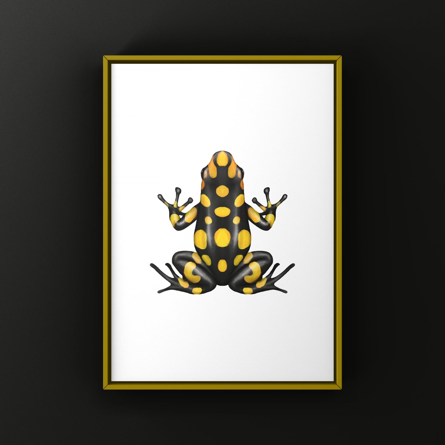 Colorful Pacasi Harlequin Poison Frog art print by The Silk Ranch, showcasing vibrant amphibian details on high-quality paper.