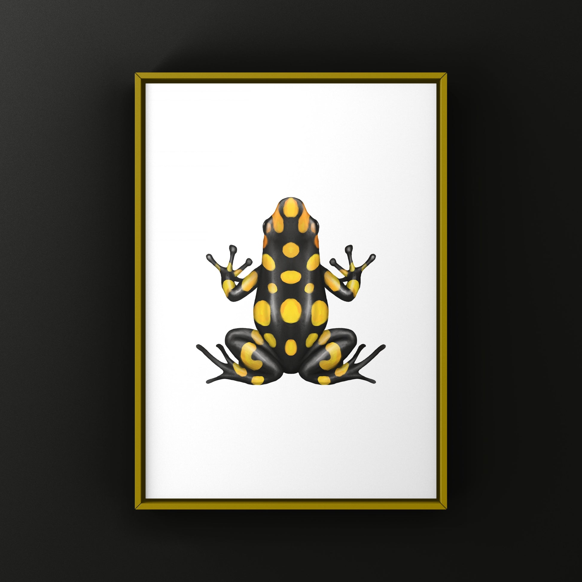 Colorful Pacasi Harlequin Poison Frog art print by The Silk Ranch, showcasing vibrant amphibian details on high-quality paper.