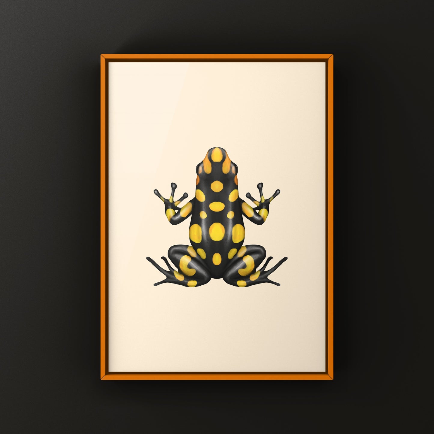 Colorful Pacasi Harlequin Poison Frog art print by The Silk Ranch, showcasing vibrant amphibian details on high-quality paper.