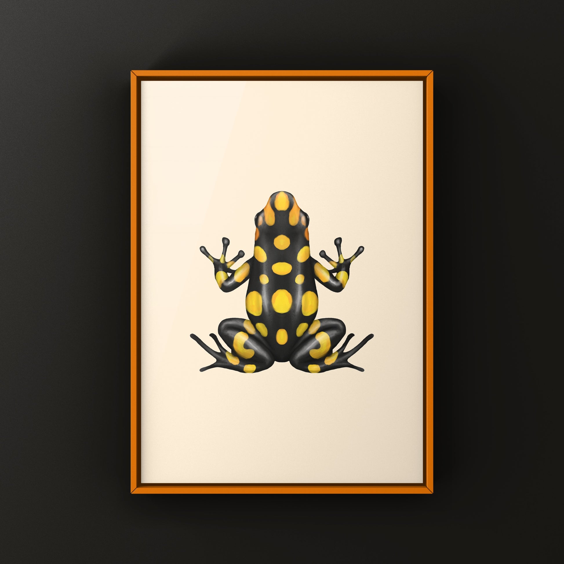 Colorful Pacasi Harlequin Poison Frog art print by The Silk Ranch, showcasing vibrant amphibian details on high-quality paper.