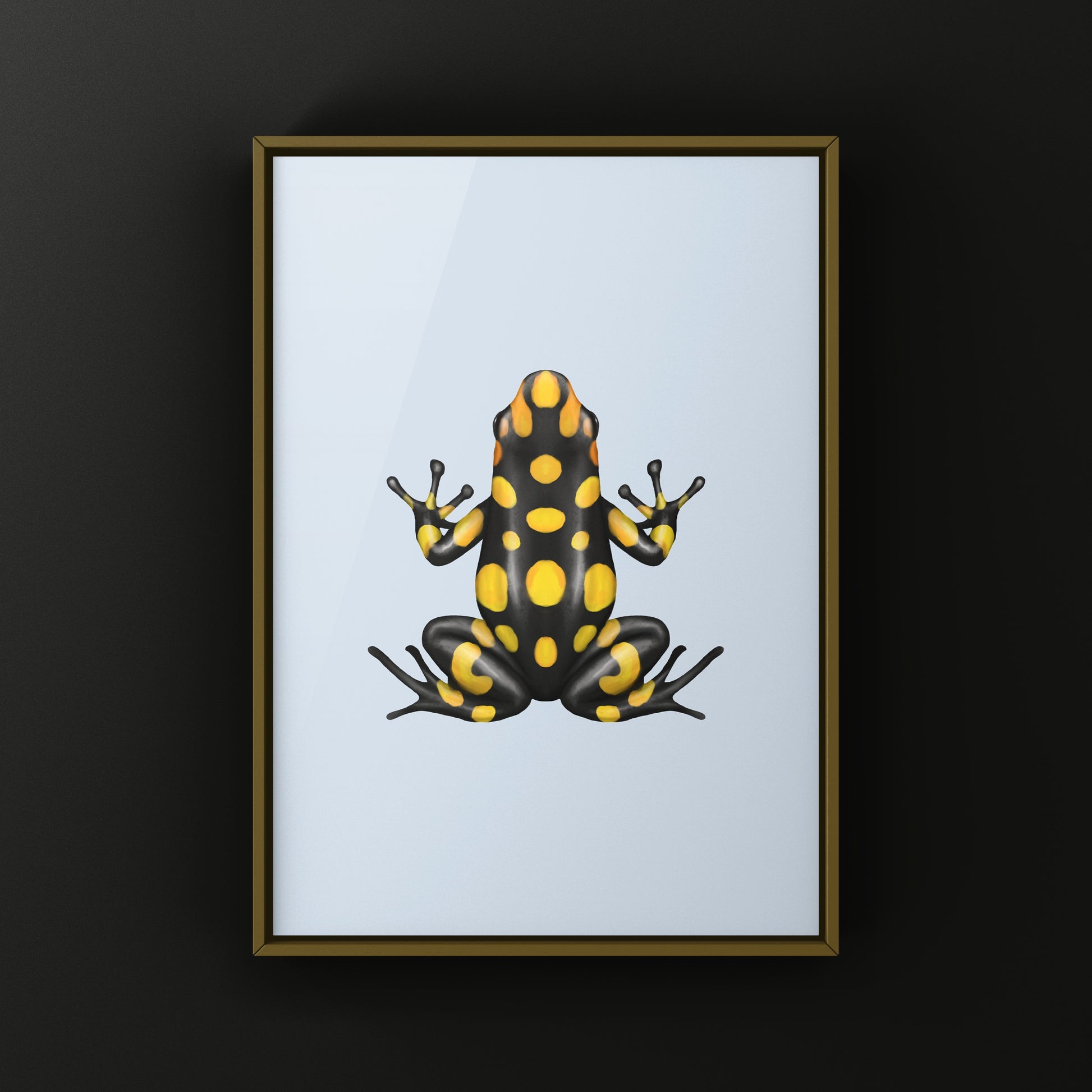 Colorful Pacasi Harlequin Poison Frog art print by The Silk Ranch showcasing vibrant amphibian artwork on high-quality paper.