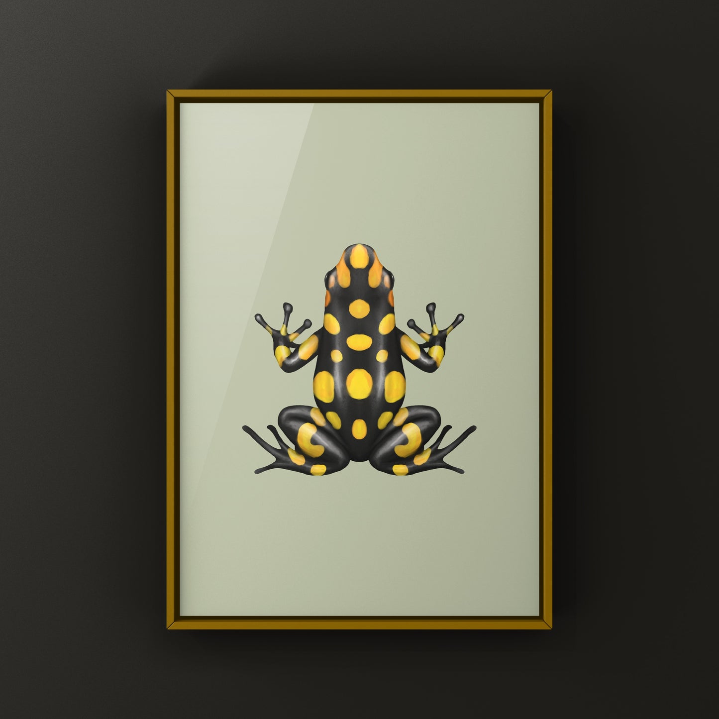 Colorful Pacasi Harlequin Poison Frog art print by The Silk Ranch showcasing vibrant amphibian artwork on high-quality paper.