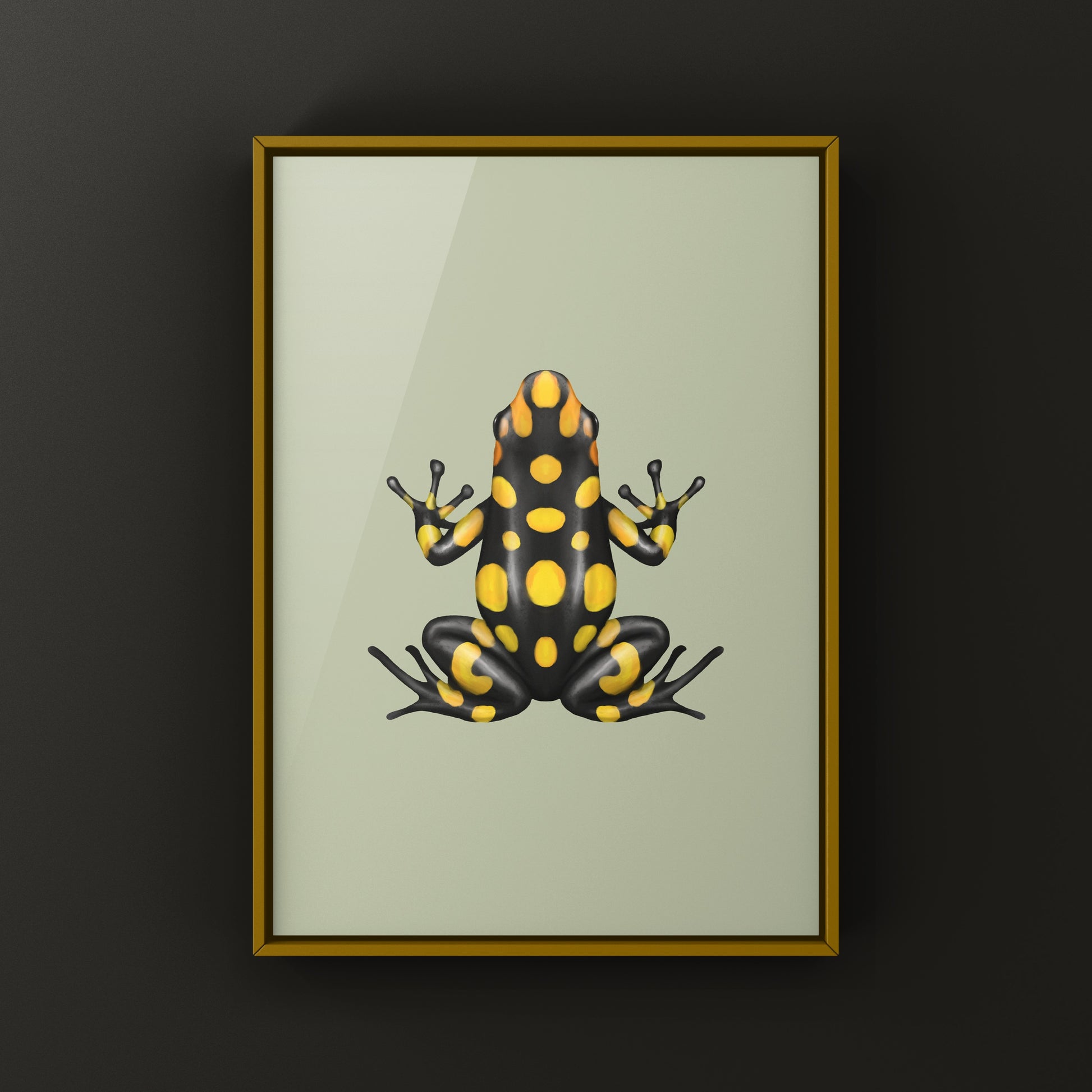 Colorful Pacasi Harlequin Poison Frog art print by The Silk Ranch showcasing vibrant amphibian artwork on high-quality paper.