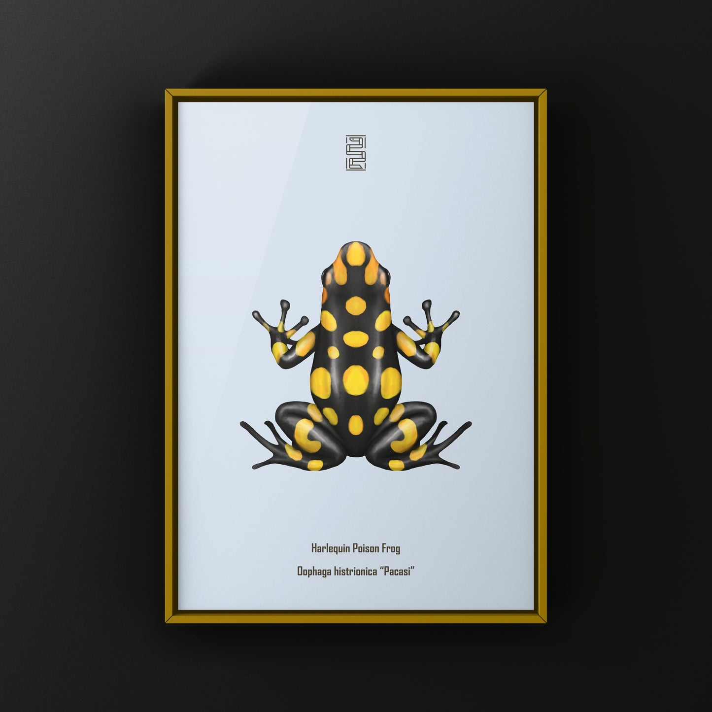Colorful Pacasi Harlequin Poison Frog art print by The Silk Ranch showcasing vibrant Oophaga histrionica details.