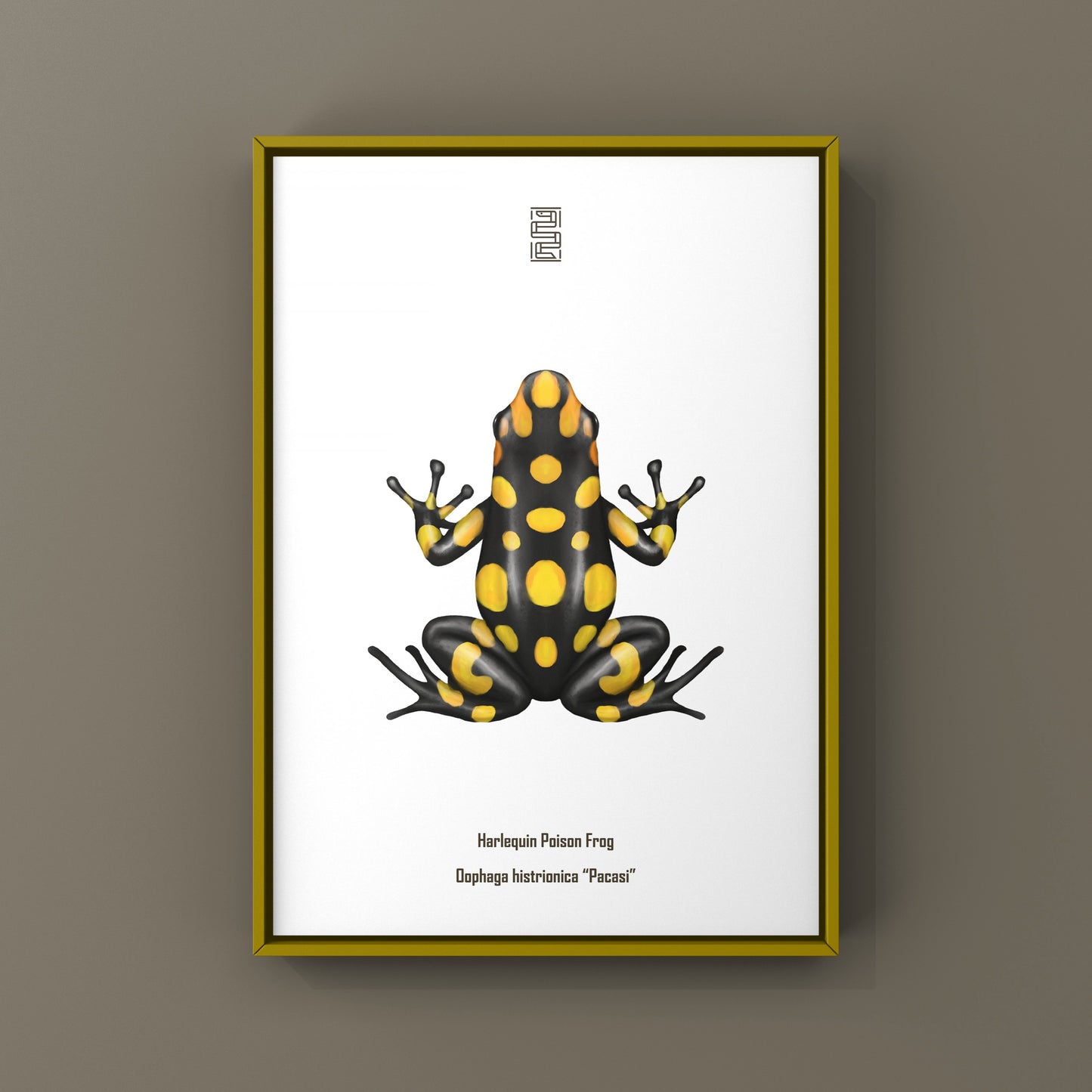 Colorful Pacasi Harlequin Poison Frog art print by The Silk Ranch featuring vibrant red, green, and black frog illustrations.