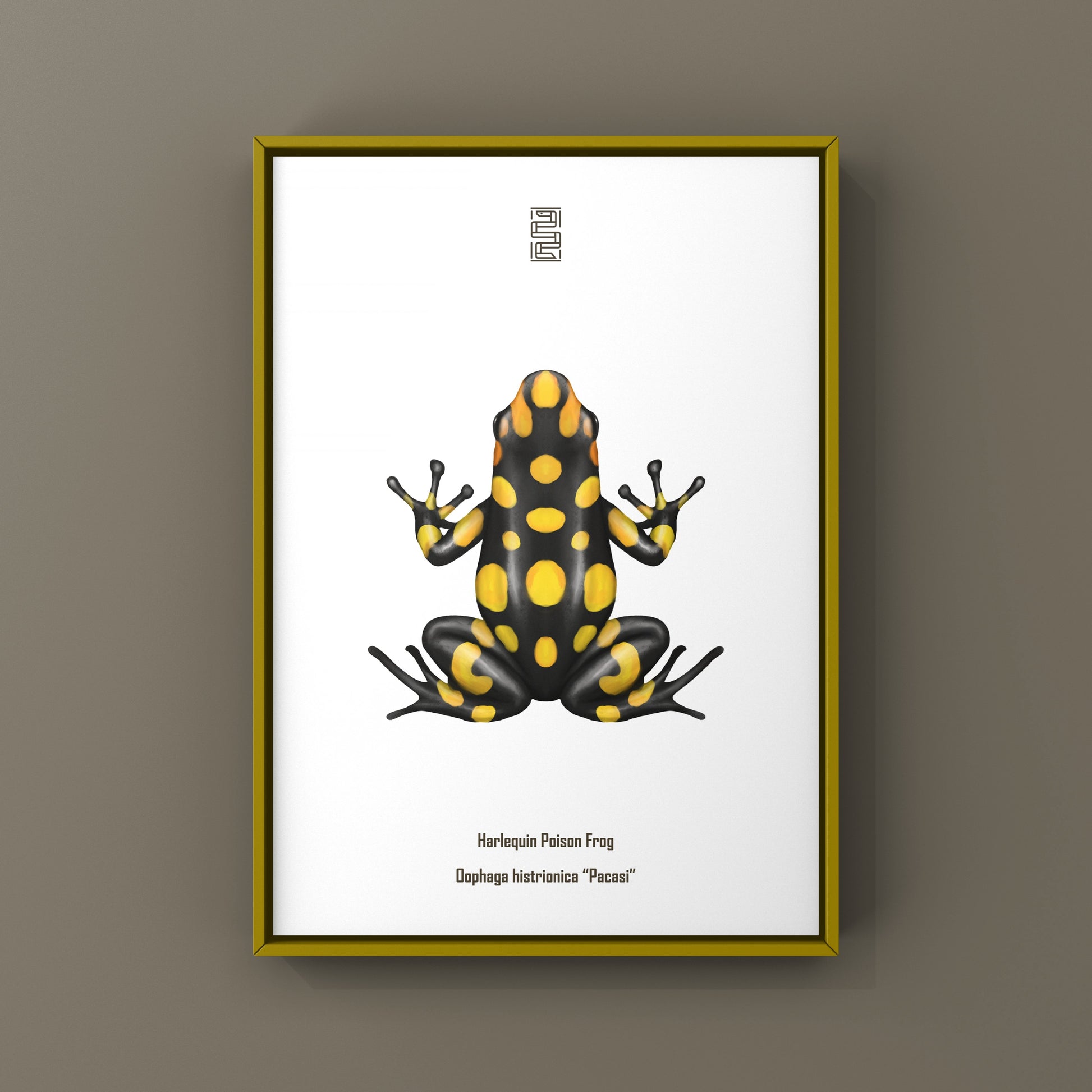 Colorful Pacasi Harlequin Poison Frog art print by The Silk Ranch featuring vibrant red, green, and black frog illustrations.