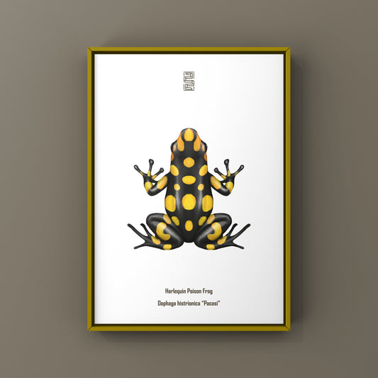 Colorful Pacasi Harlequin Poison Frog art print by The Silk Ranch featuring vibrant red, green, and black frog illustrations.