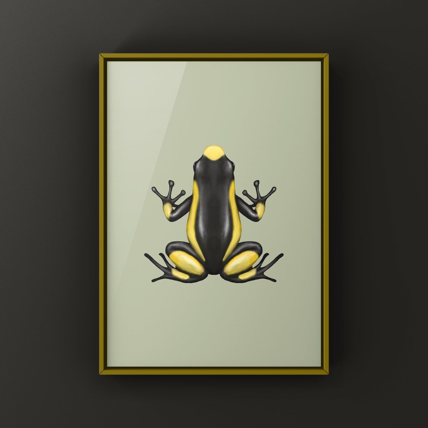 Colorful Saddleback Yellow Harlequin Poison Frog art print featuring vibrant amphibian illustration by The Silk Ranch.