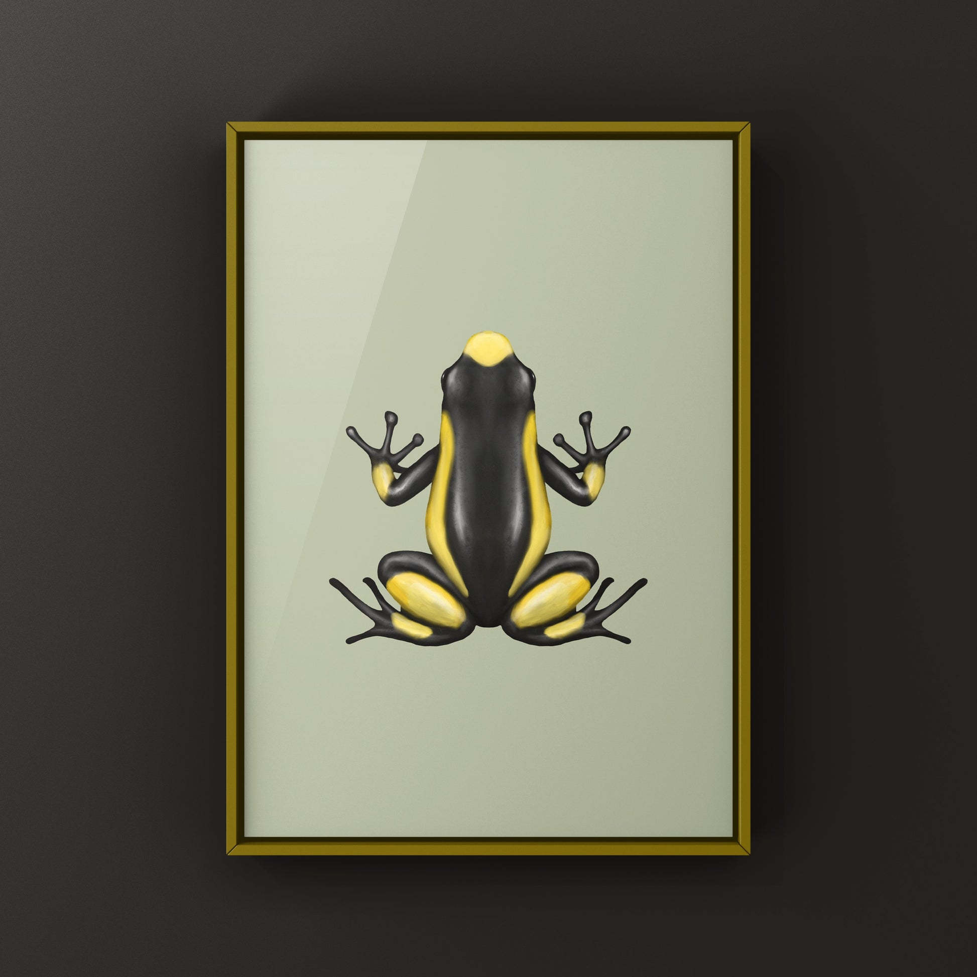 Colorful Saddleback Yellow Harlequin Poison Frog art print featuring vibrant amphibian illustration by The Silk Ranch.