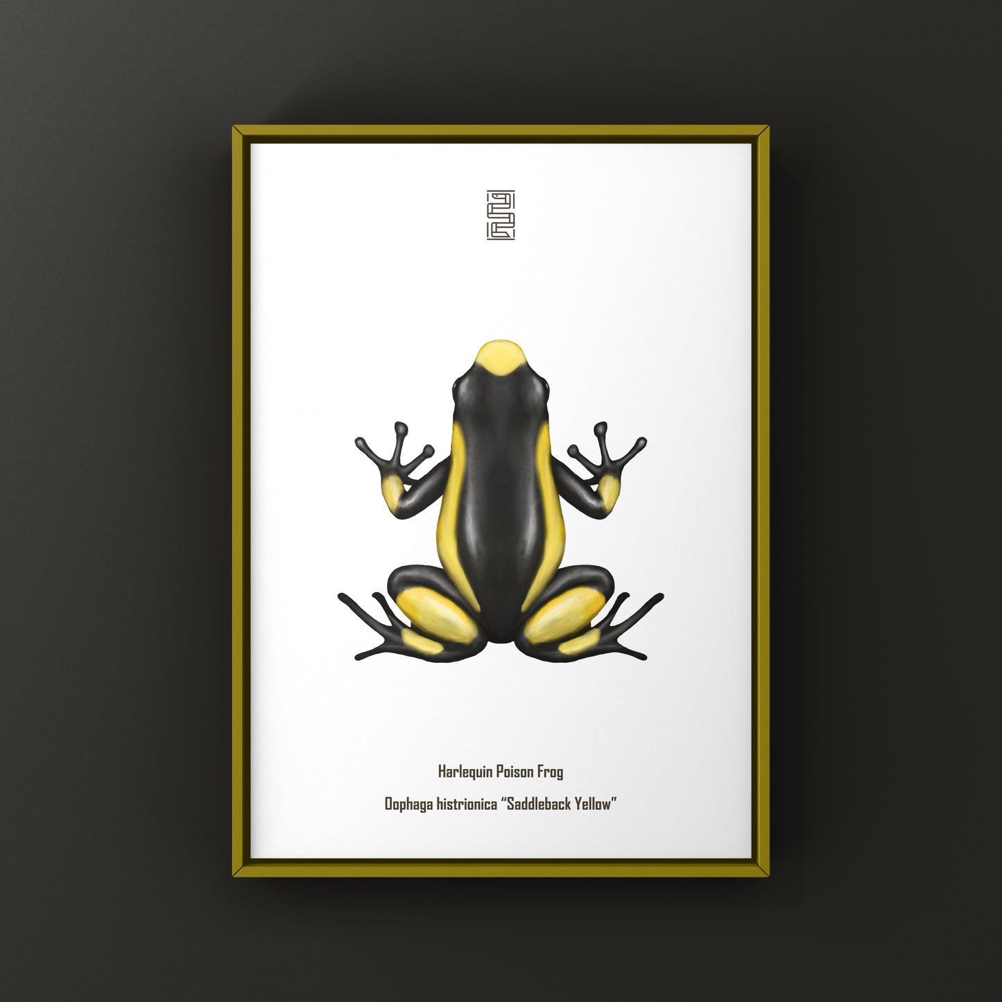 Colorful Saddleback Yellow Harlequin Poison Frog art print by The Silk Ranch showcasing vibrant amphibian illustrations.
