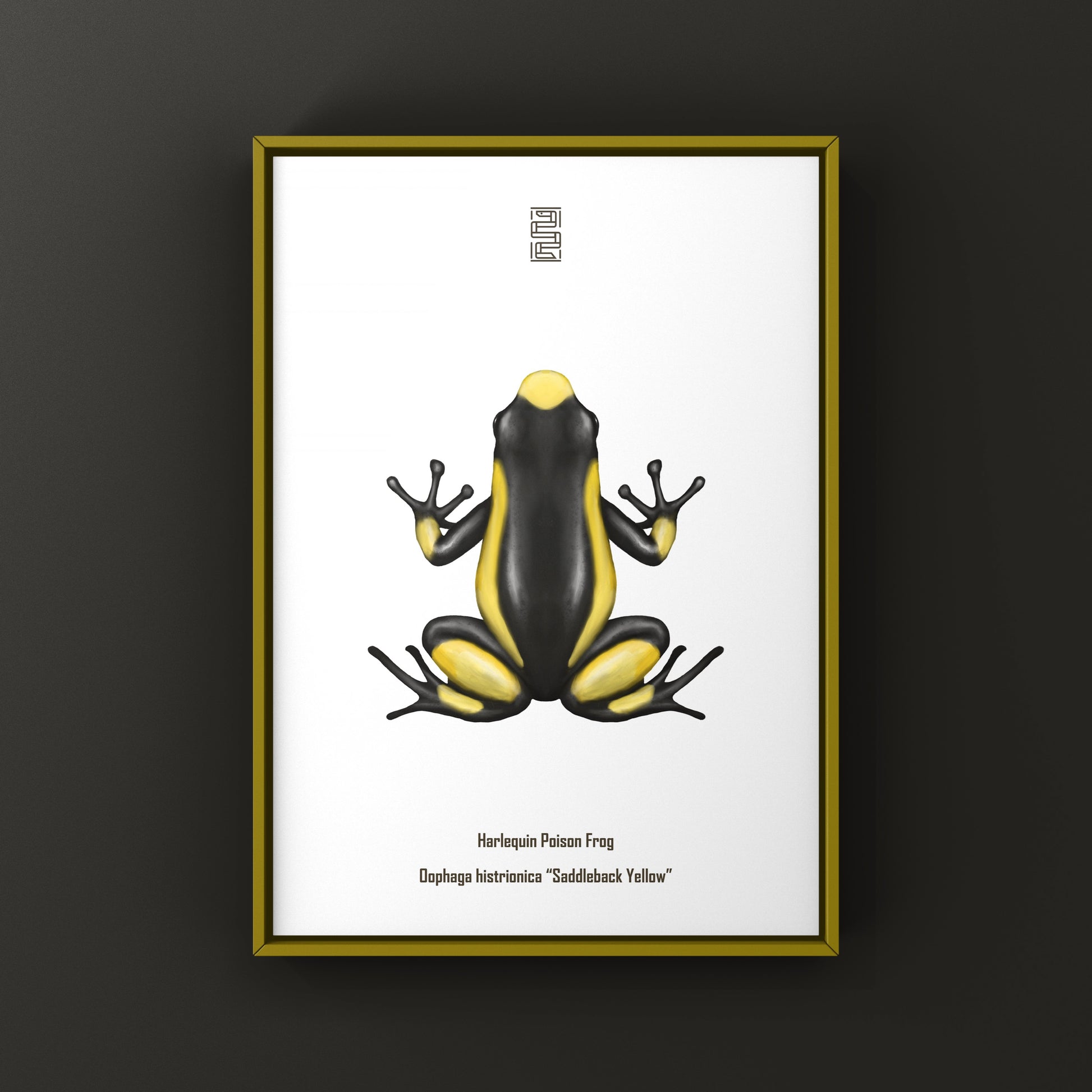 Colorful Saddleback Yellow Harlequin Poison Frog art print by The Silk Ranch showcasing vibrant amphibian illustrations.