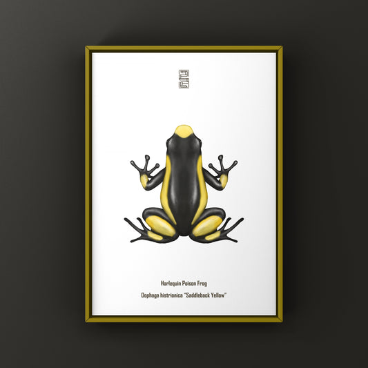 Colorful Saddleback Yellow Harlequin Poison Frog art print by The Silk Ranch showcasing vibrant amphibian illustrations.