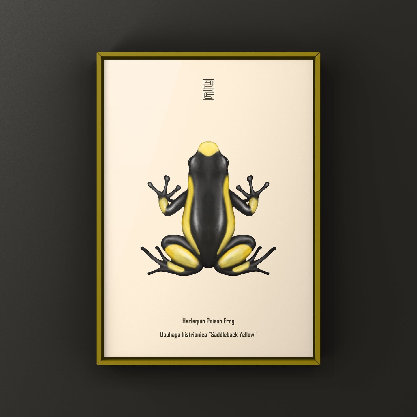 Colorful Saddleback Yellow Harlequin Poison Frog art print by The Silk Ranch, featuring vibrant orange and black markings on a bright background.