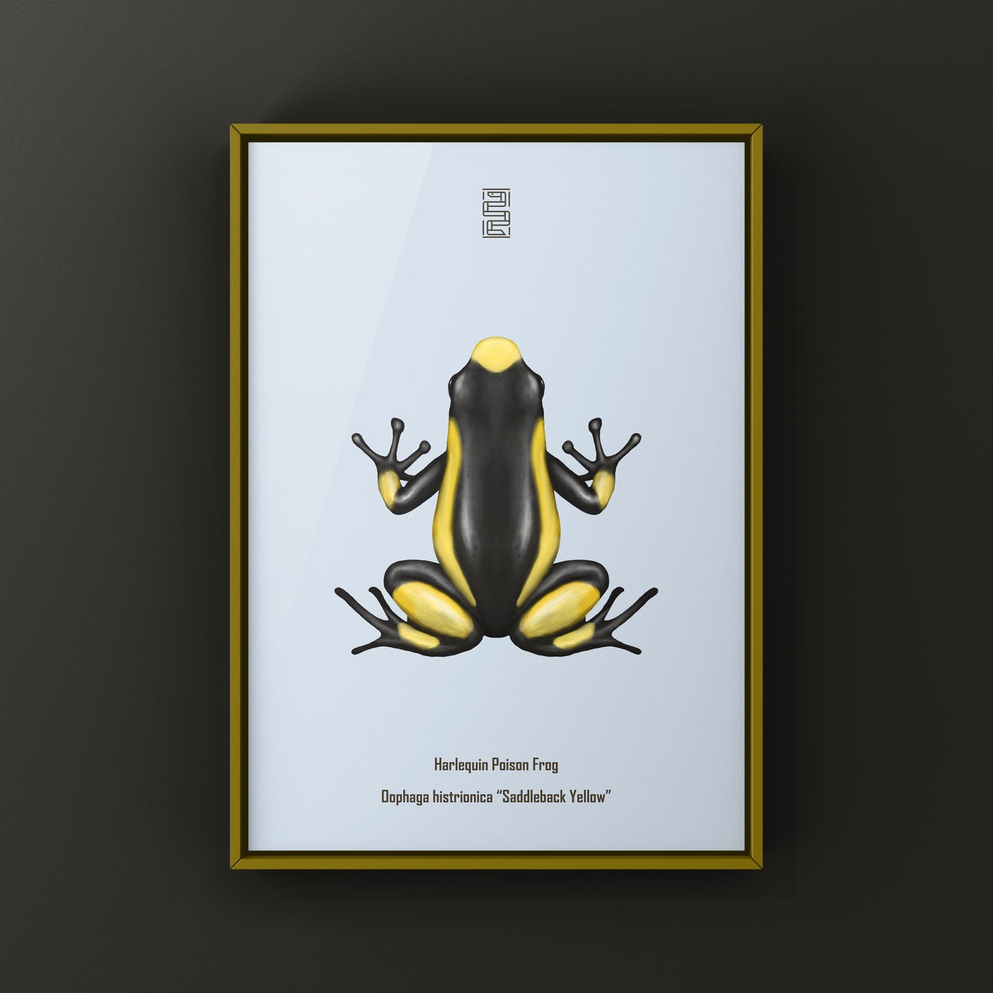 Colorful Saddleback Yellow Harlequin Poison Frog art print by The Silk Ranch, showcasing vibrant amphibian illustration on high-quality paper.